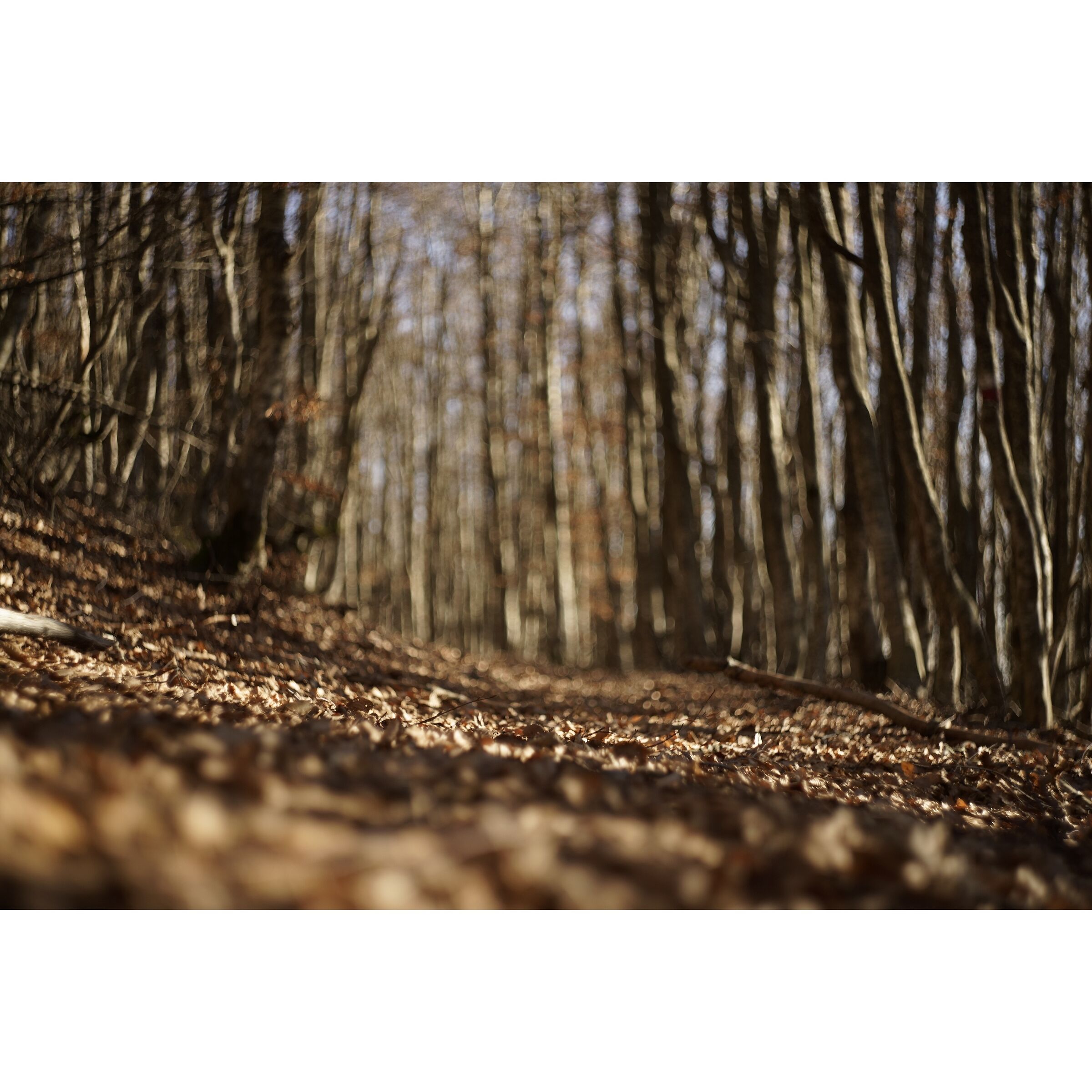 Untitled Photo