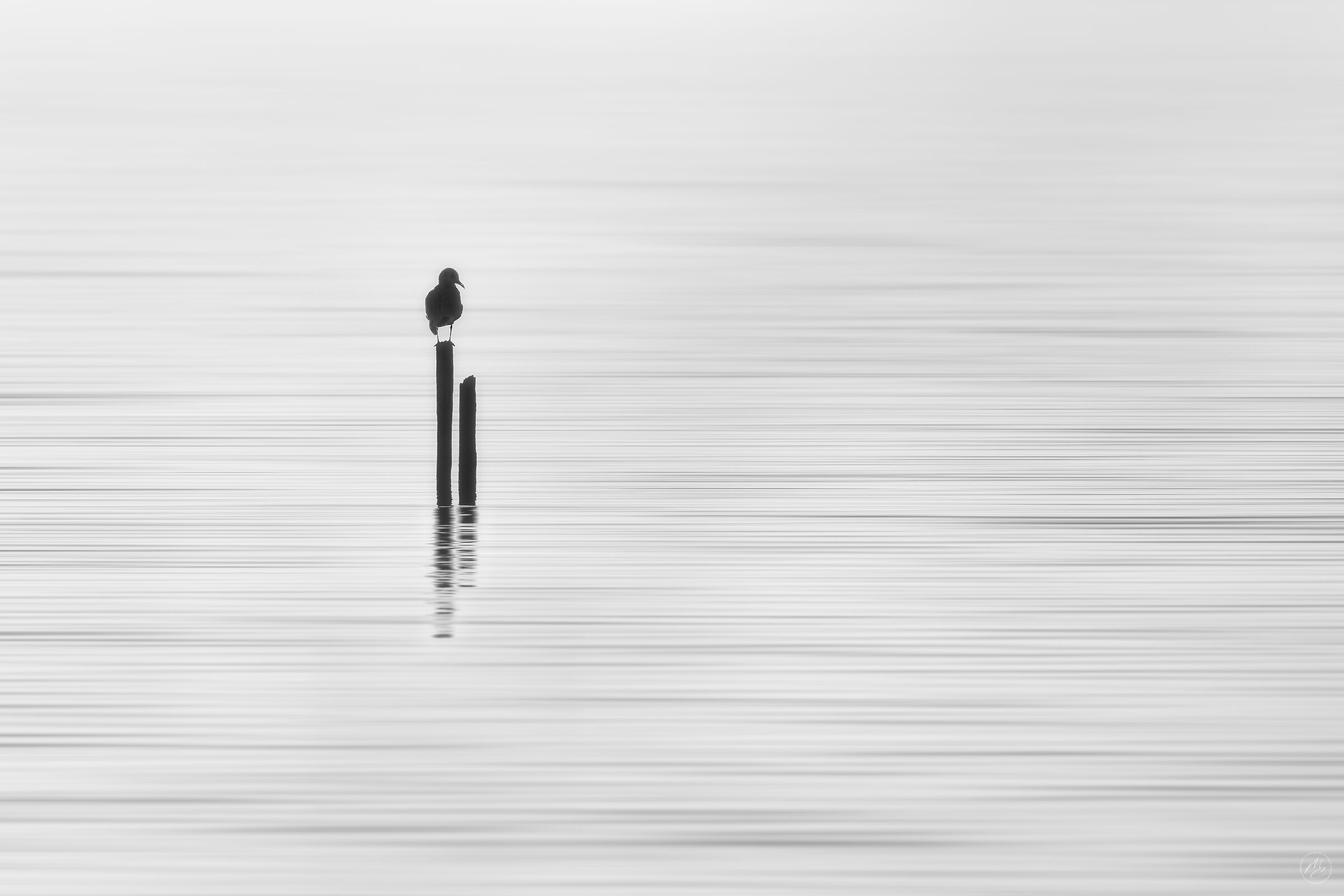 Lonely and thoughtful