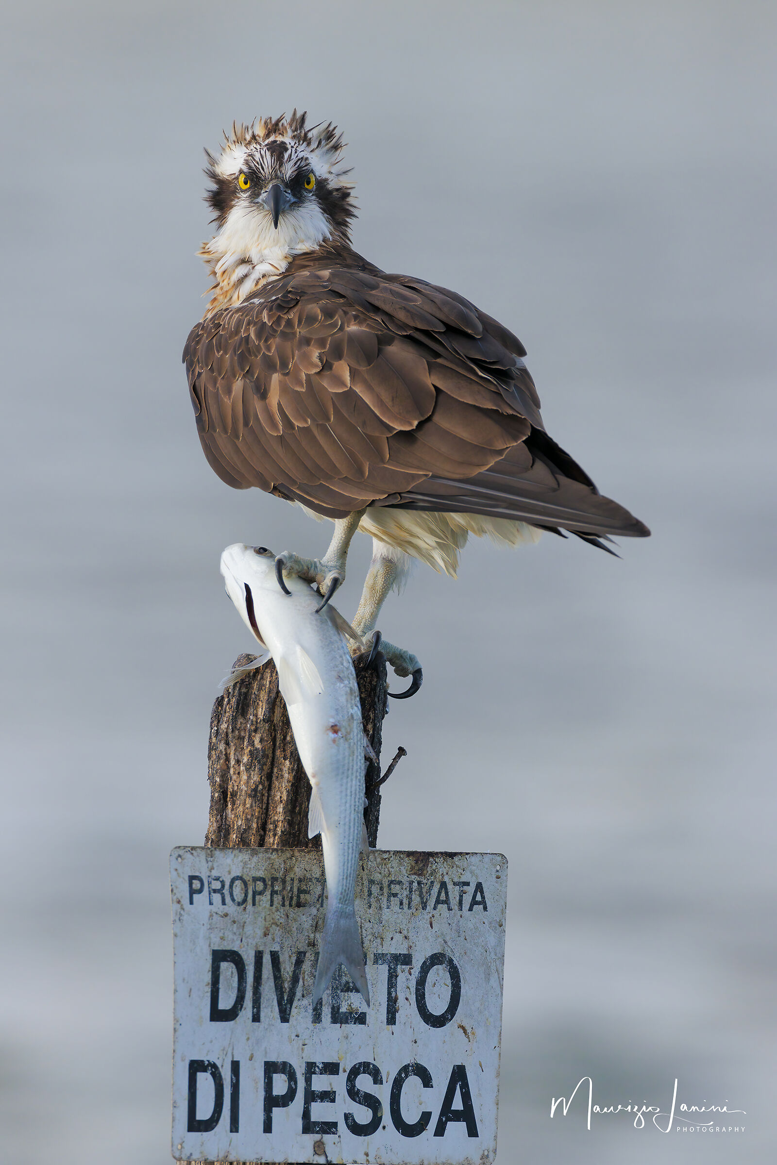 Incontri prima del tramonto