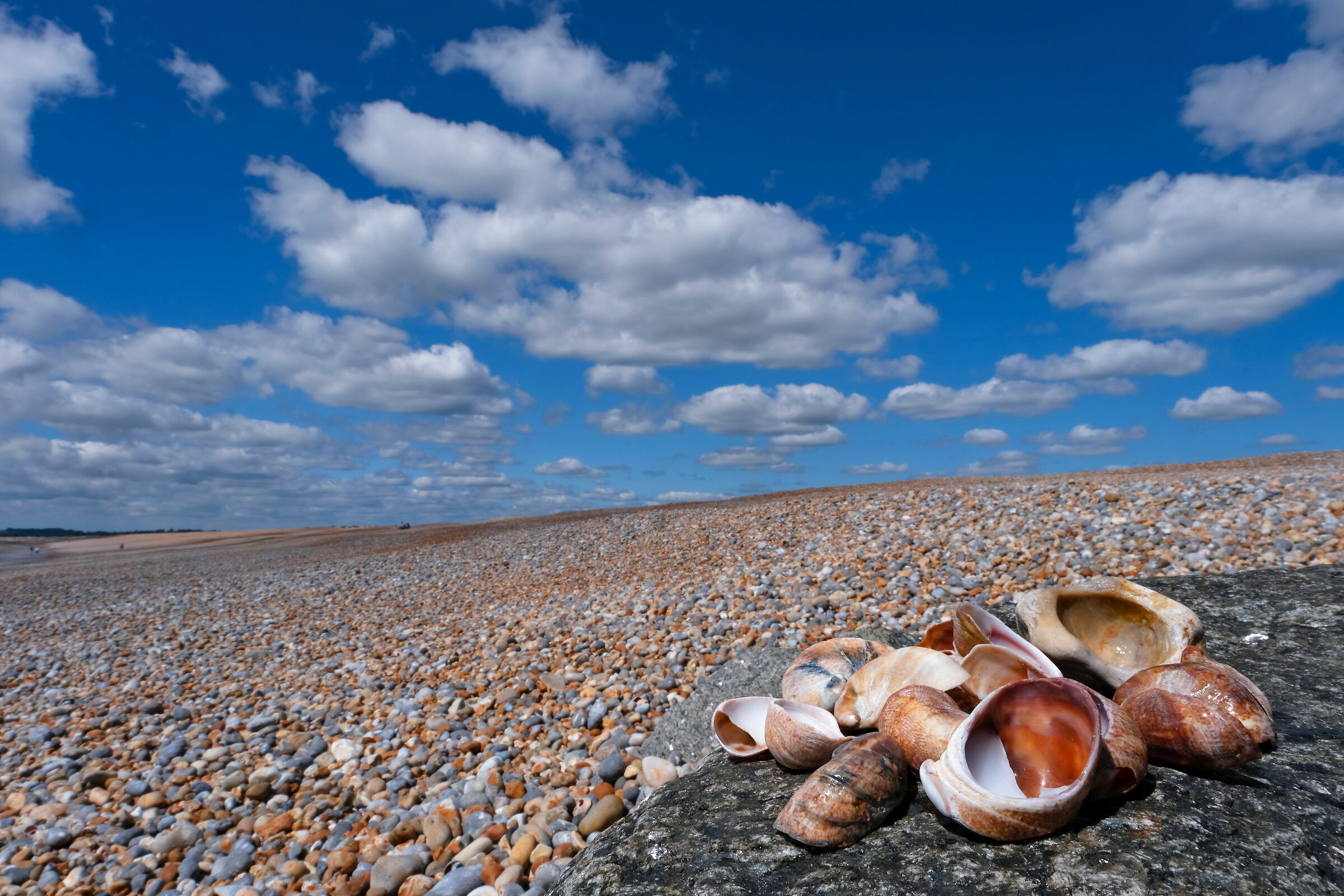 RYE - Camber Sands