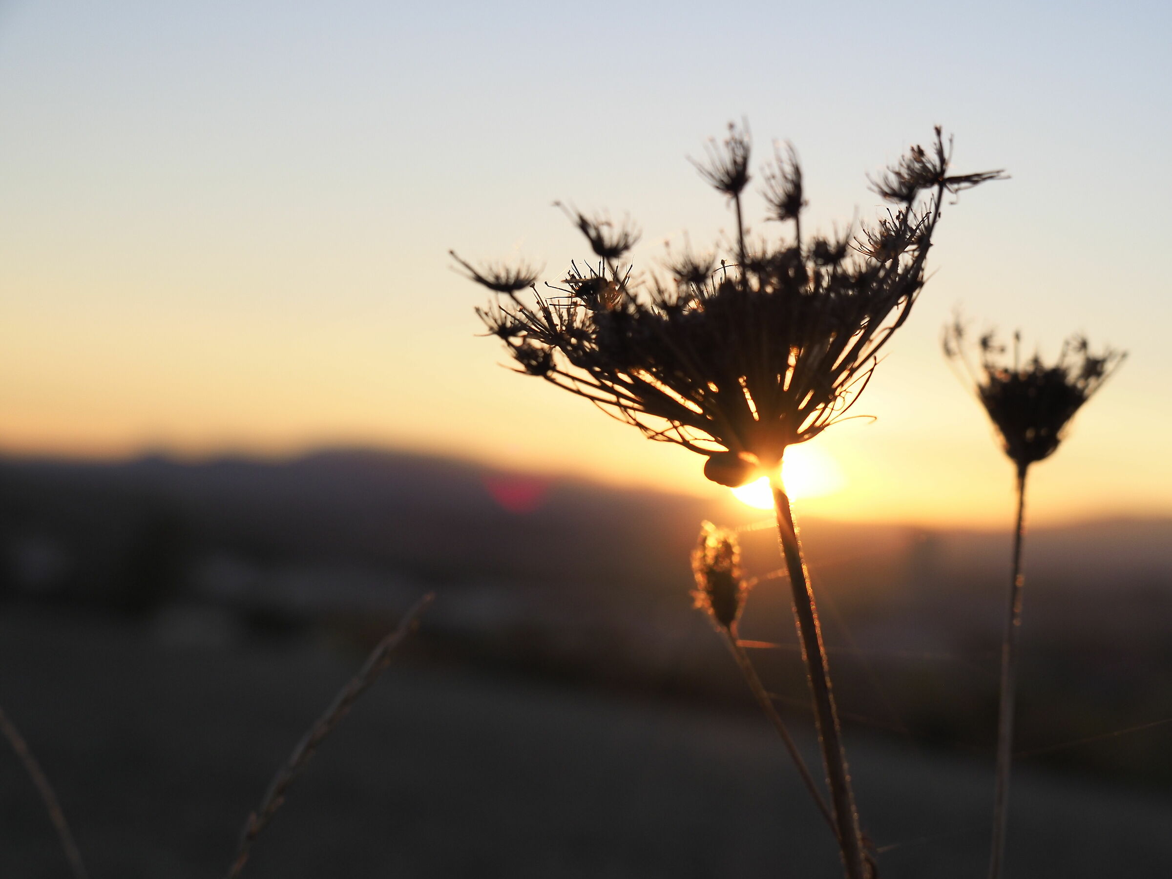 Tutto l'oro del mondo