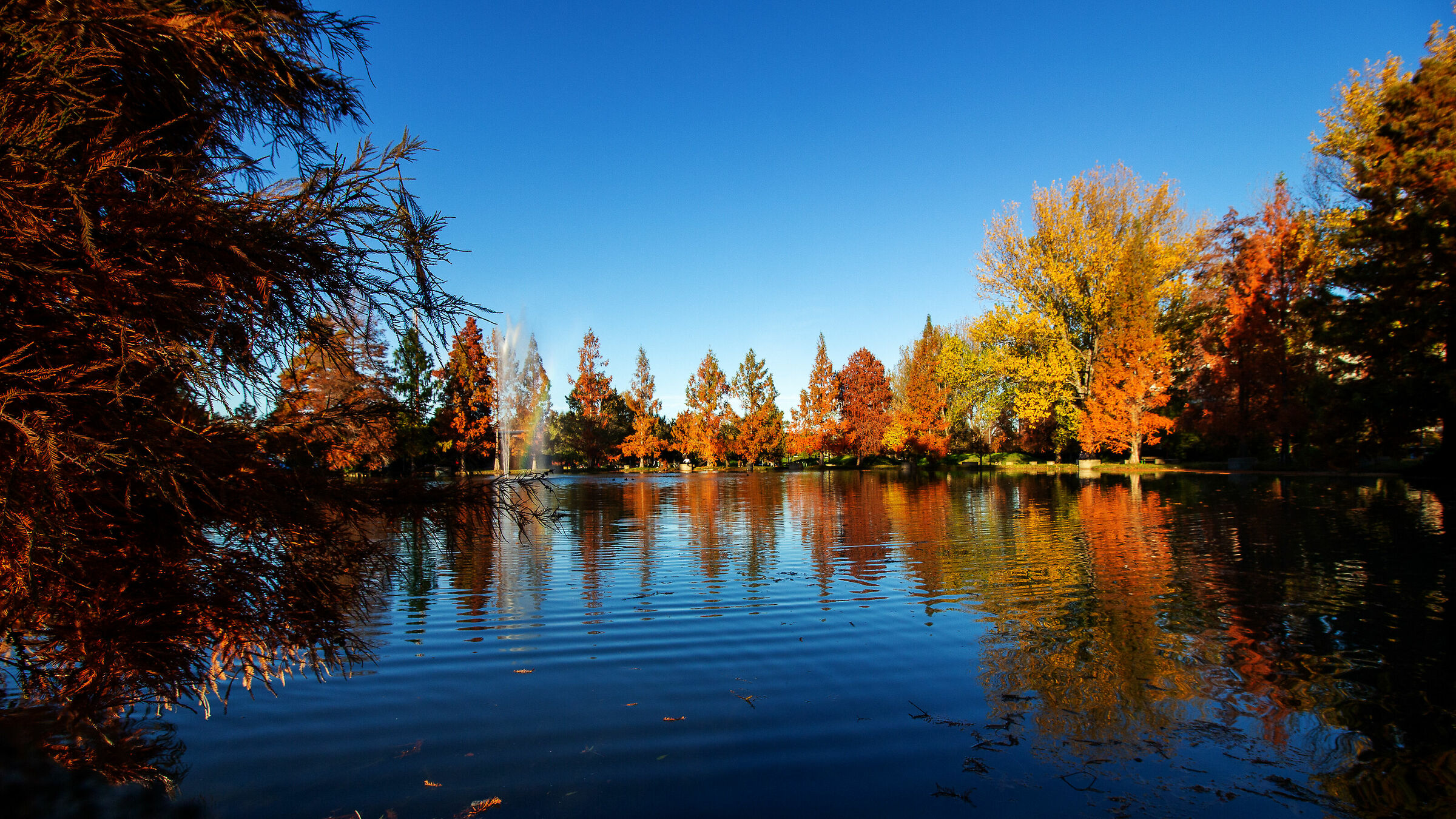 The Autumn Rainbow