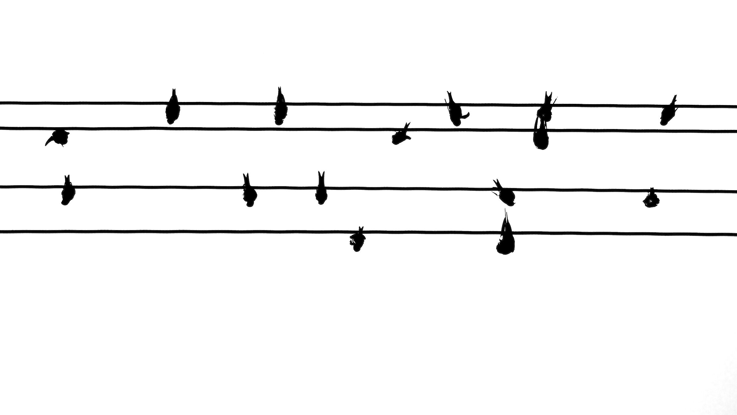 Notation of a flock