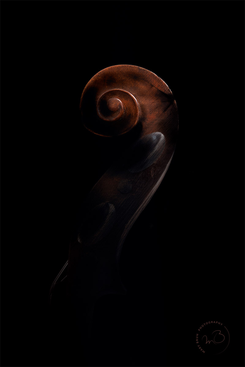 A snail