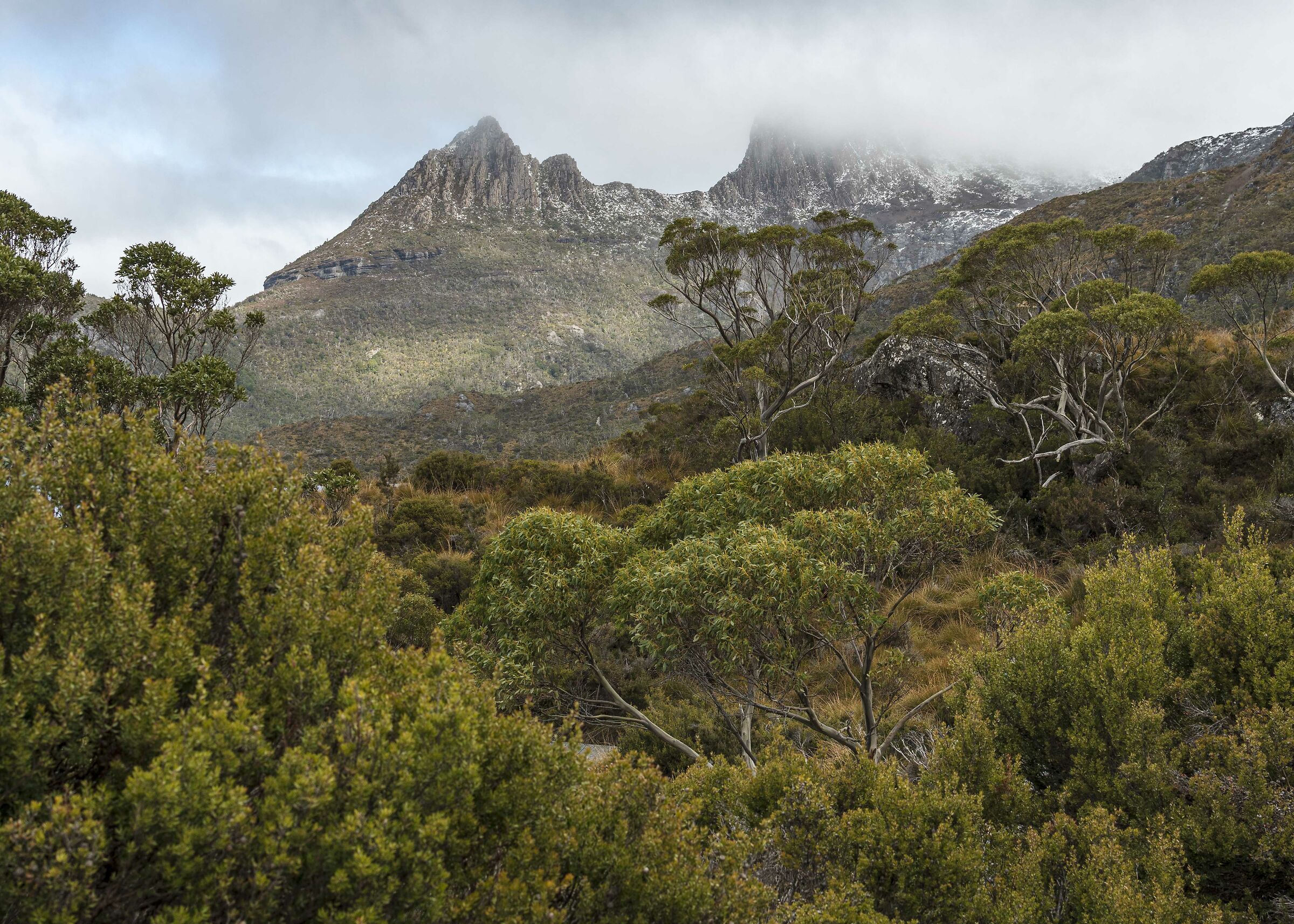 Montagna della culla