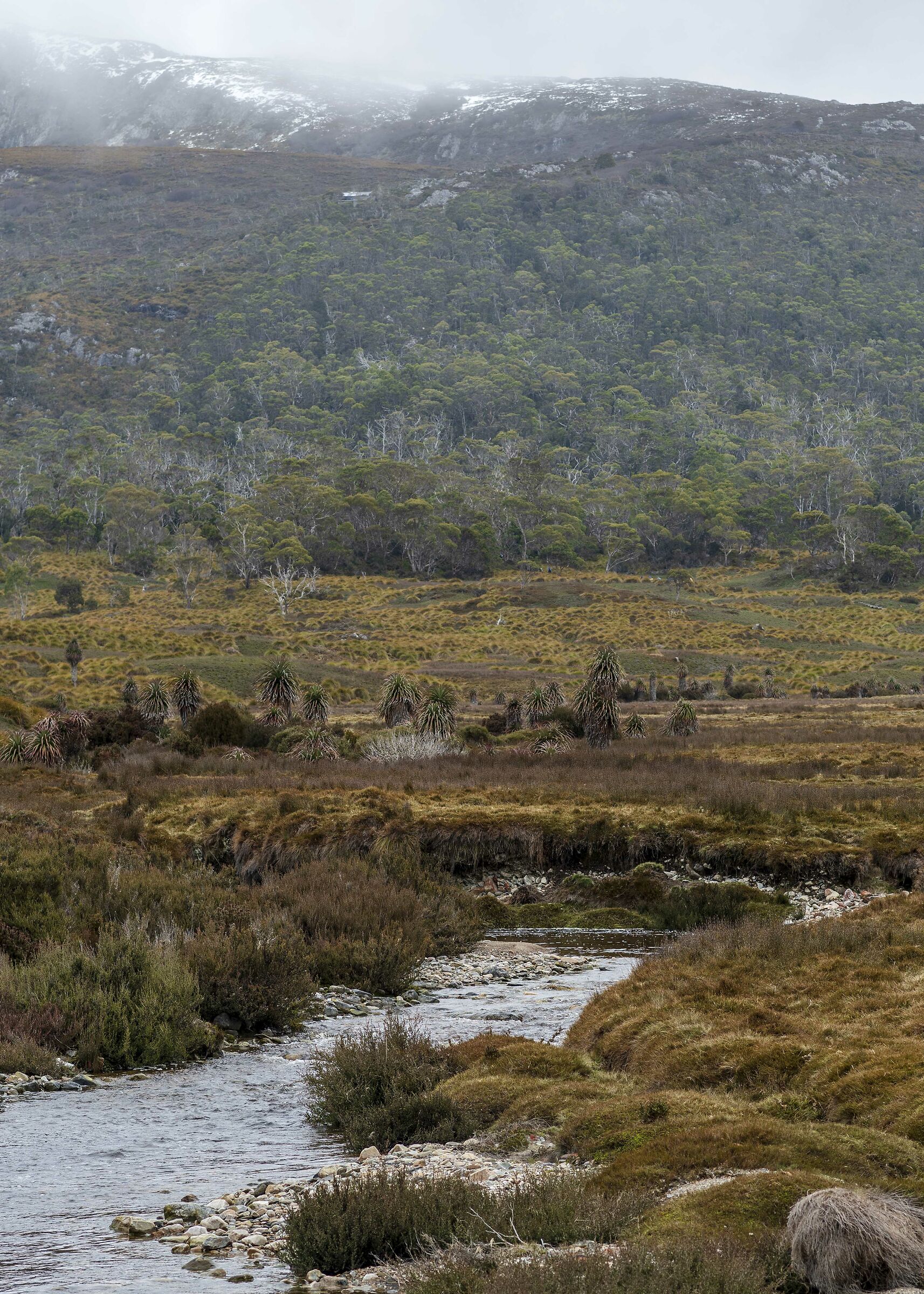Parco nazionale di Cradle Mountain
