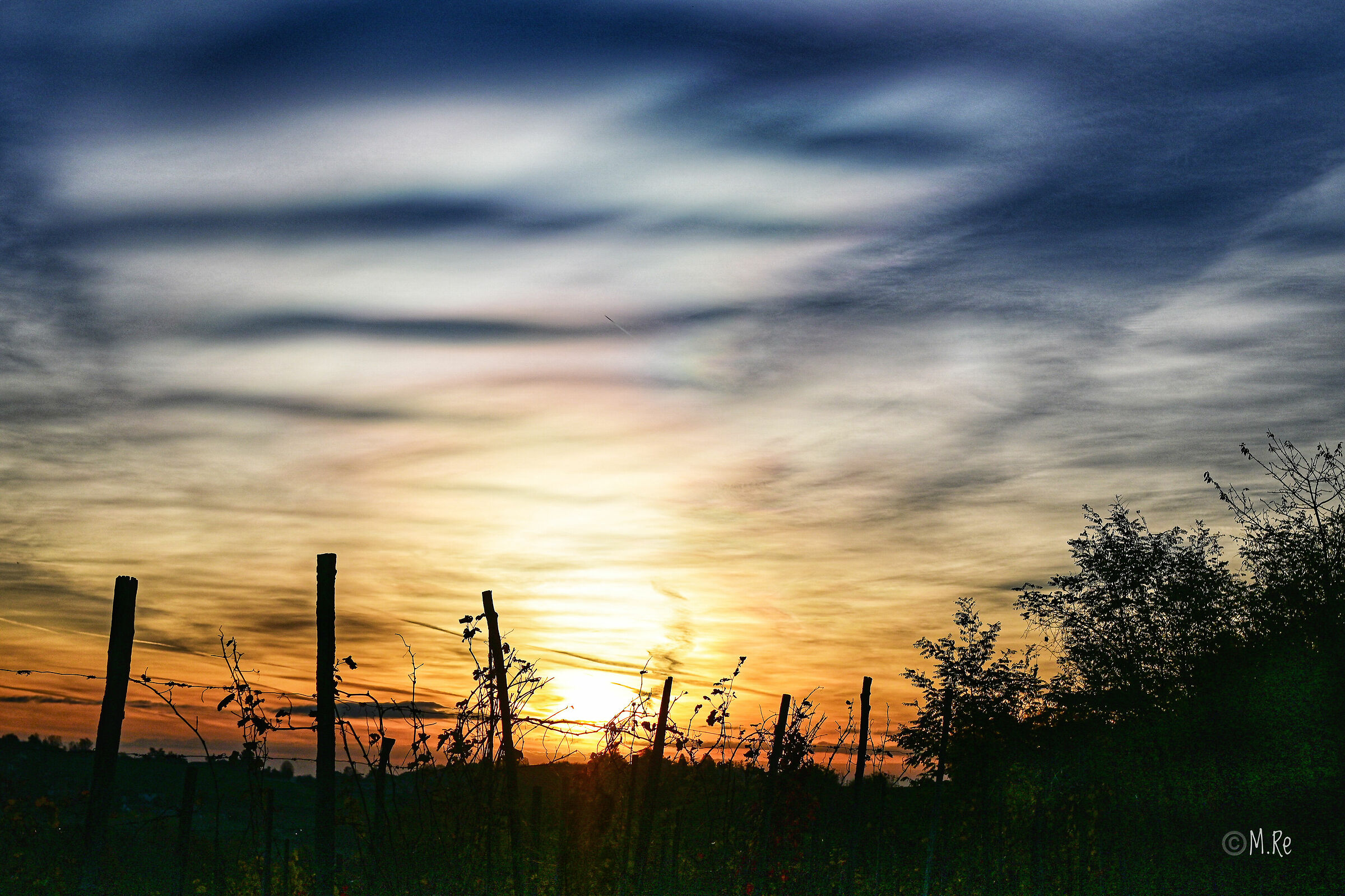 Sunrise in the vineyards