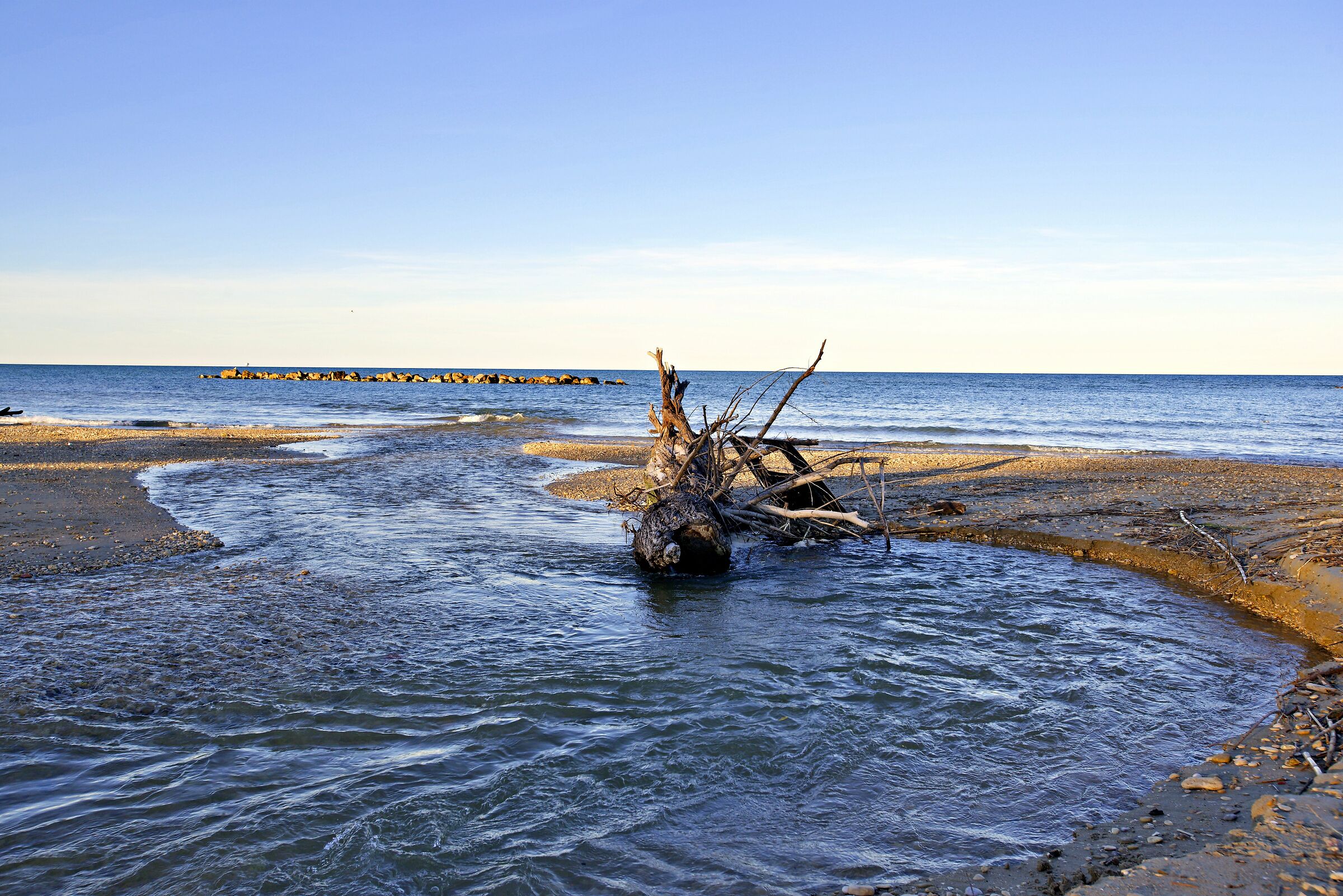 Where there is only nature, there is inhuman ineptitude