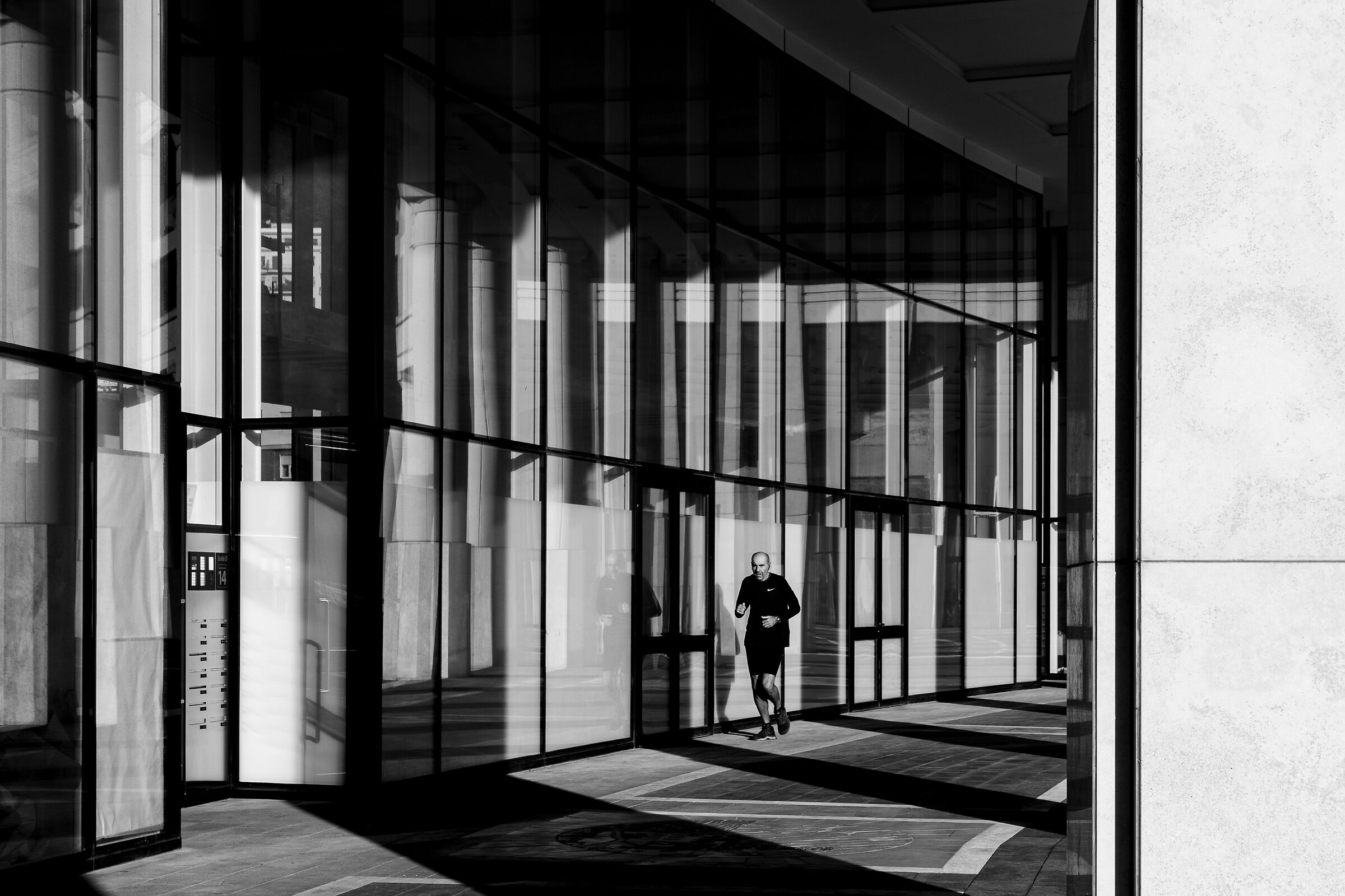 la fatica per raggiungere la luce