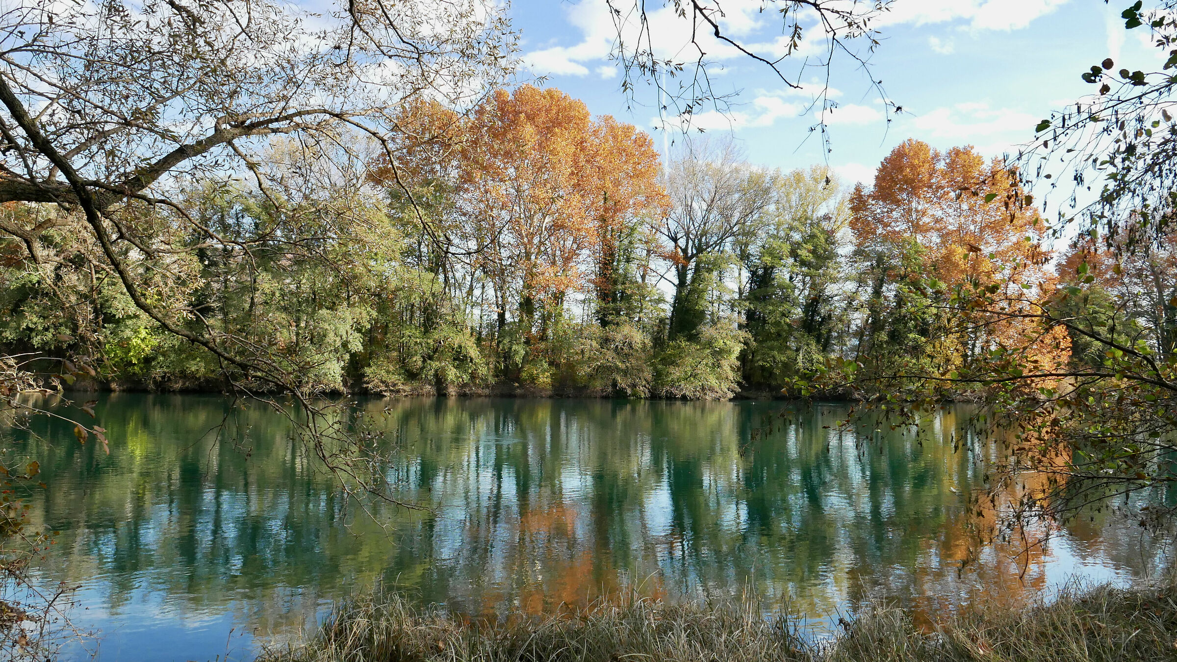 Autumn colours along the Adda