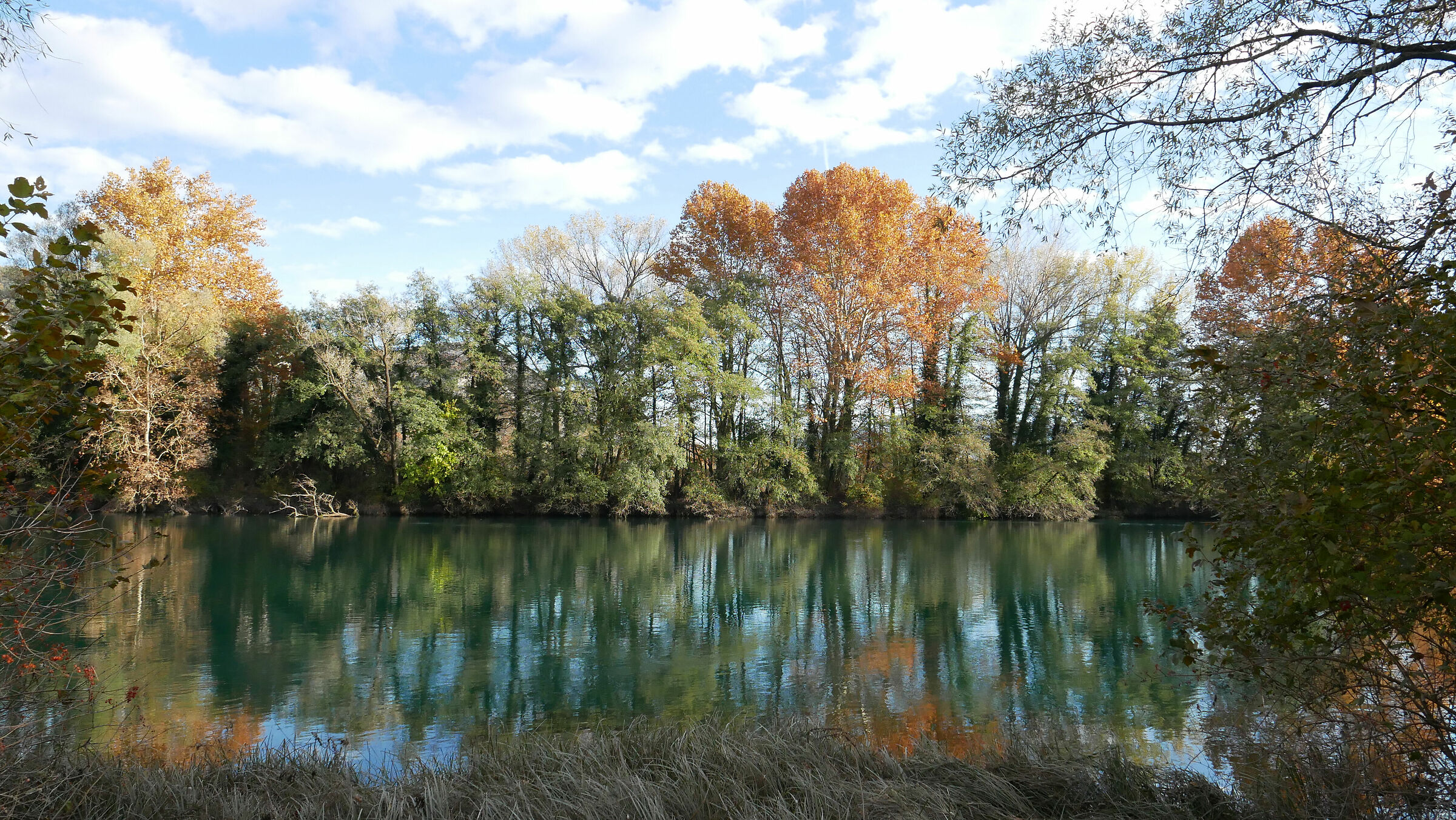 Autumn colours along the Adda 2
