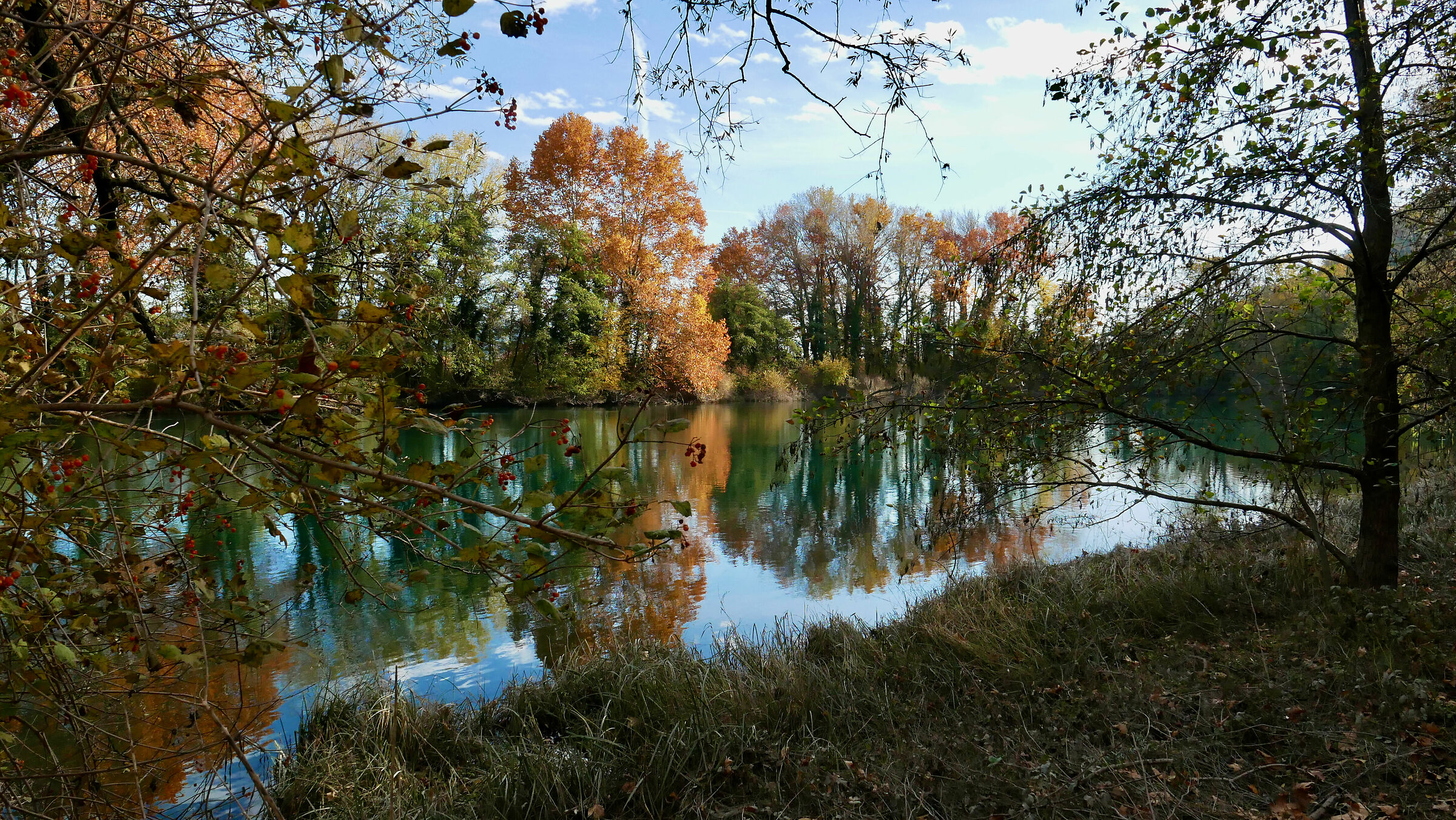 Autumn colours along the Adda 3