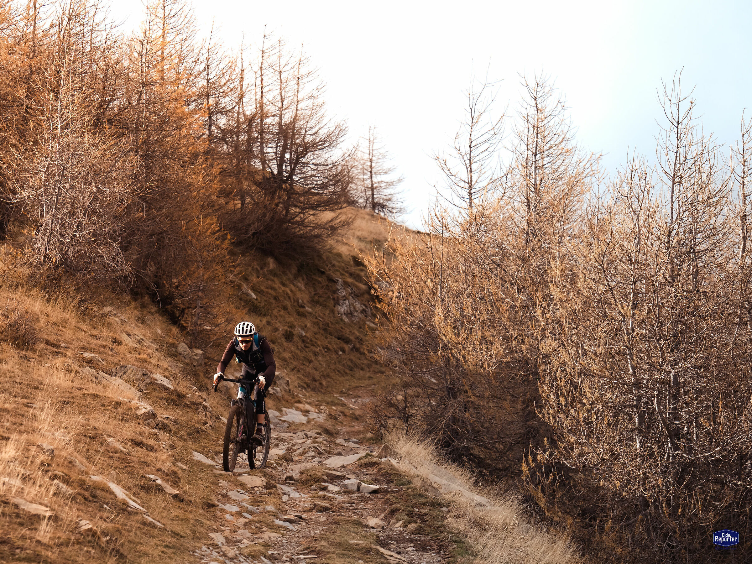 via del sale - estate di san martino 12