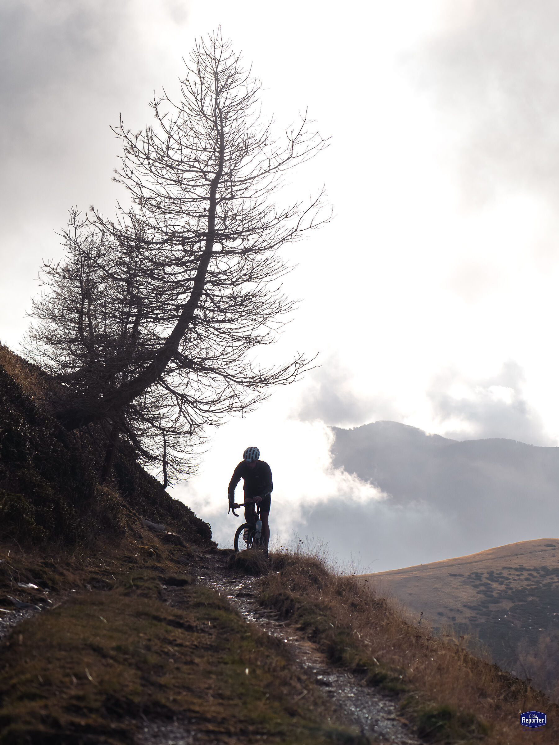 via del sale - estate di san martino 15