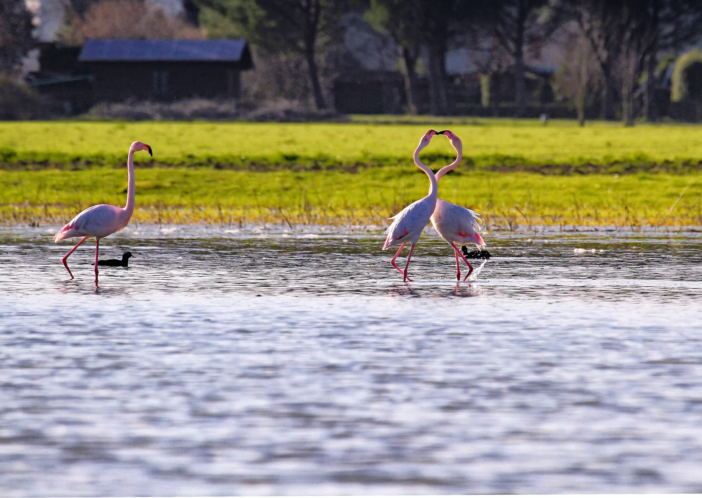 Cuddle time with the voyeur..