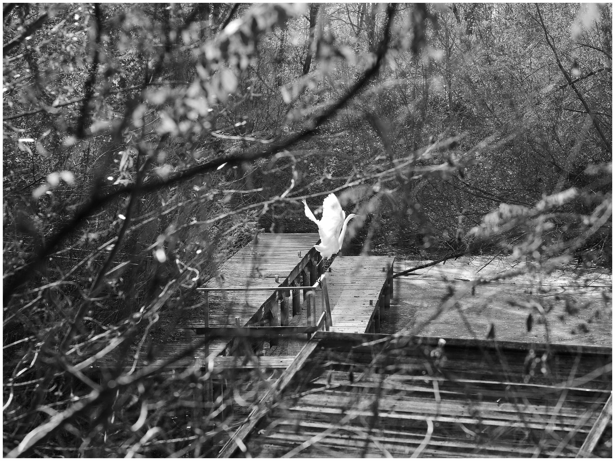 bn_2 on the banks of the Po