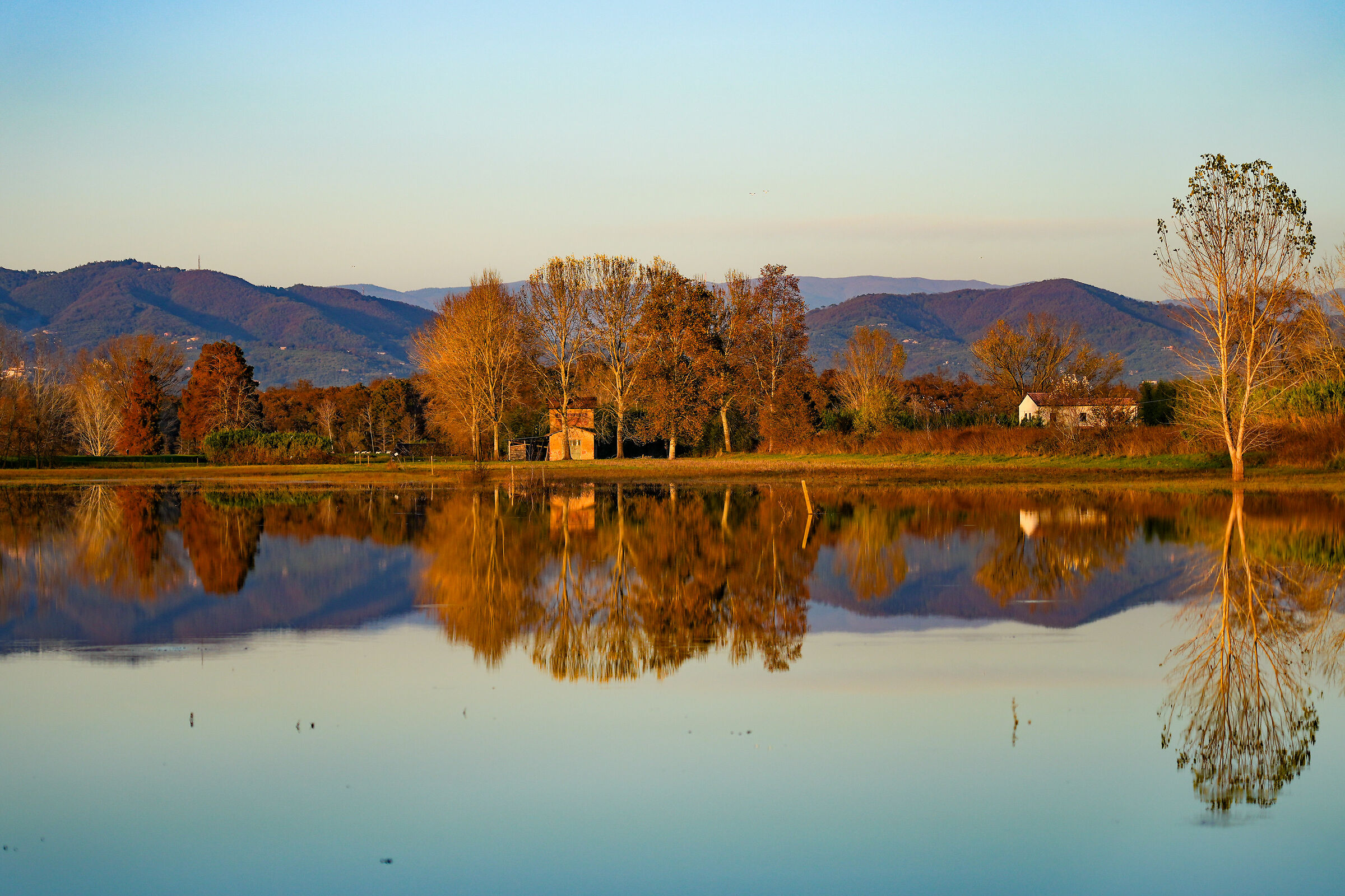 Walking among reflections and colors