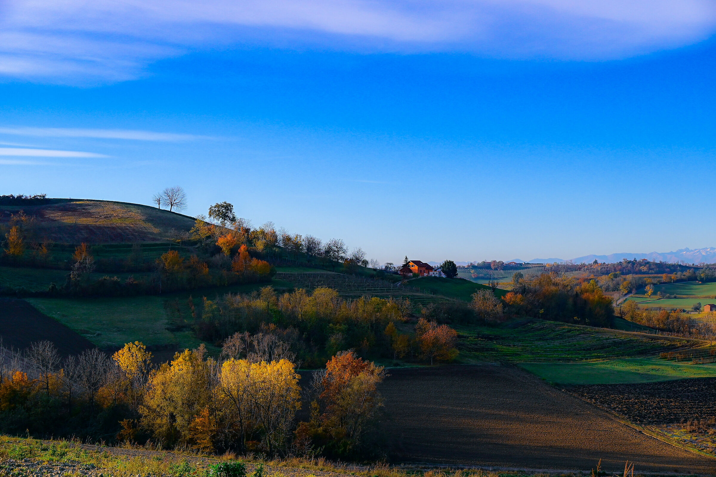 Paesaggio autunnale