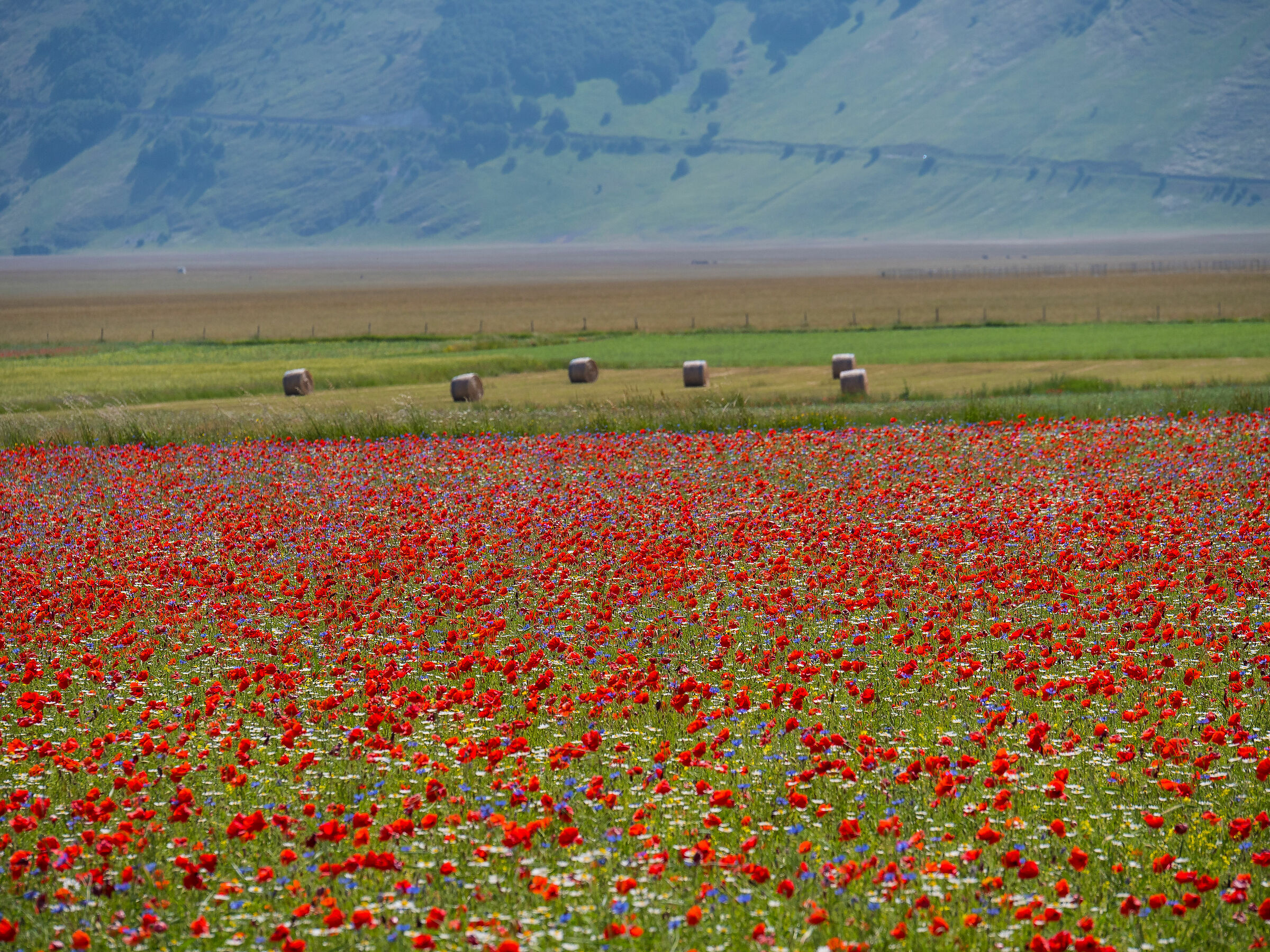 Castelluccio di Norcia