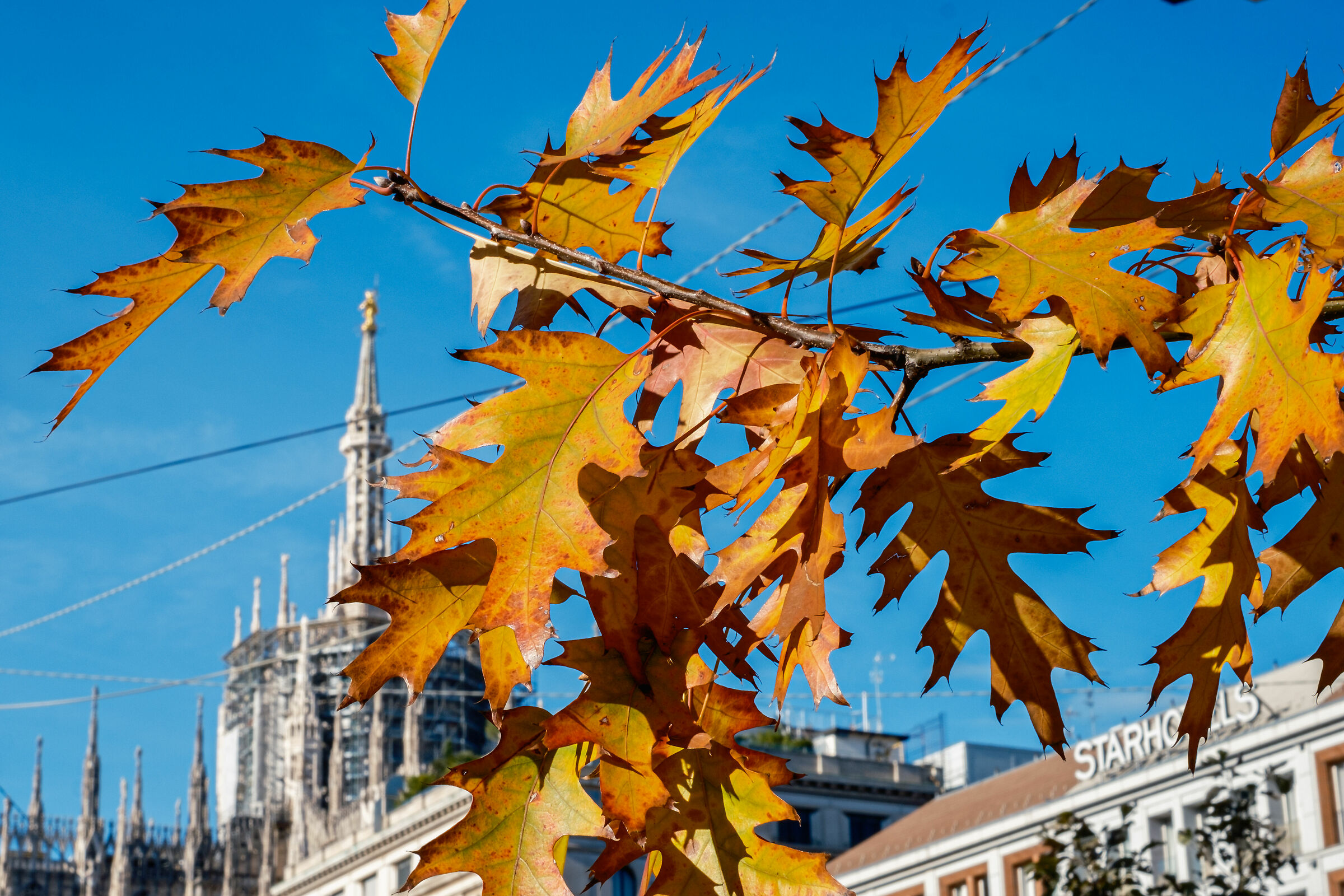 Autunno a Milano