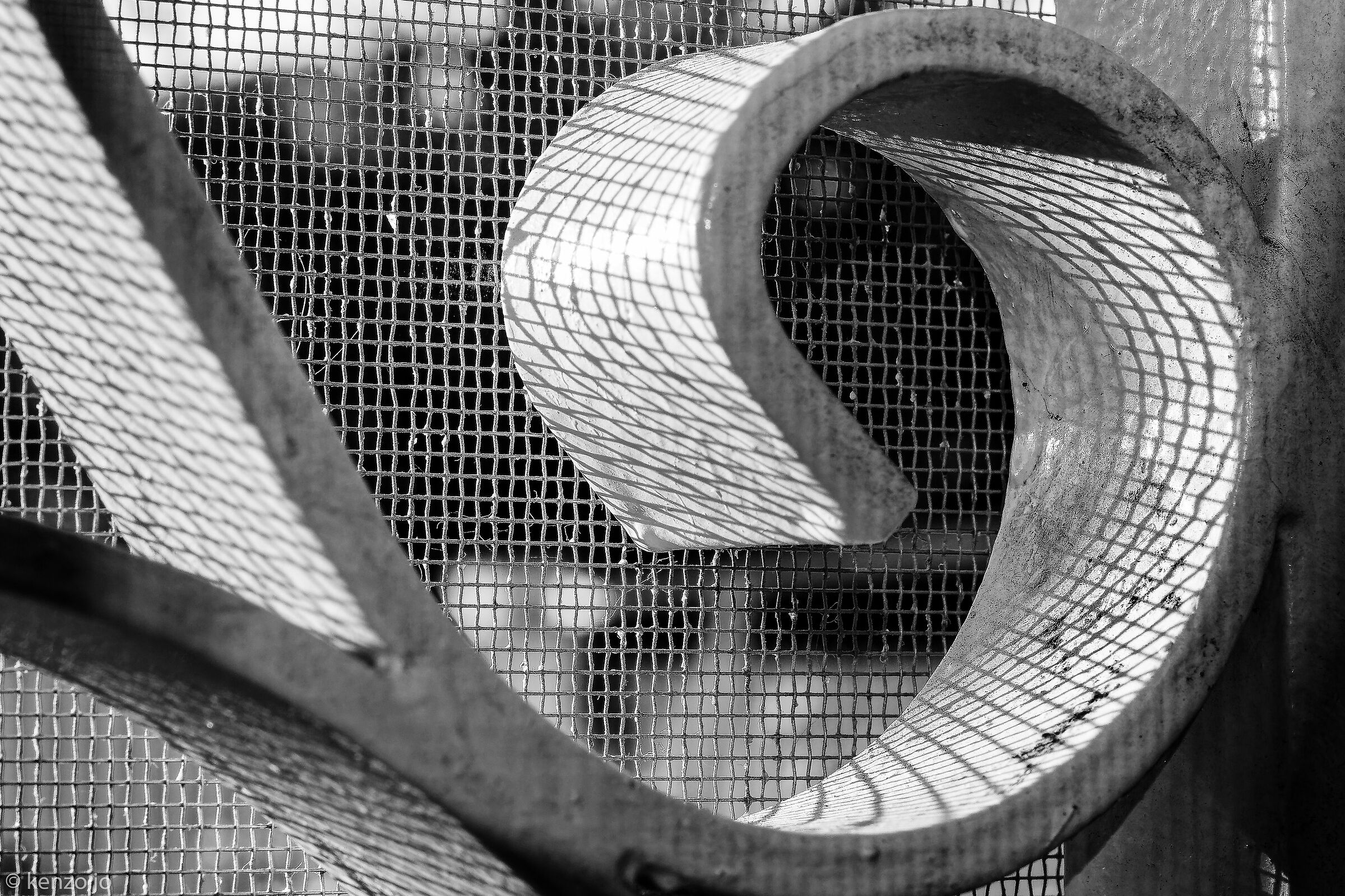 Primo sole d'inverno