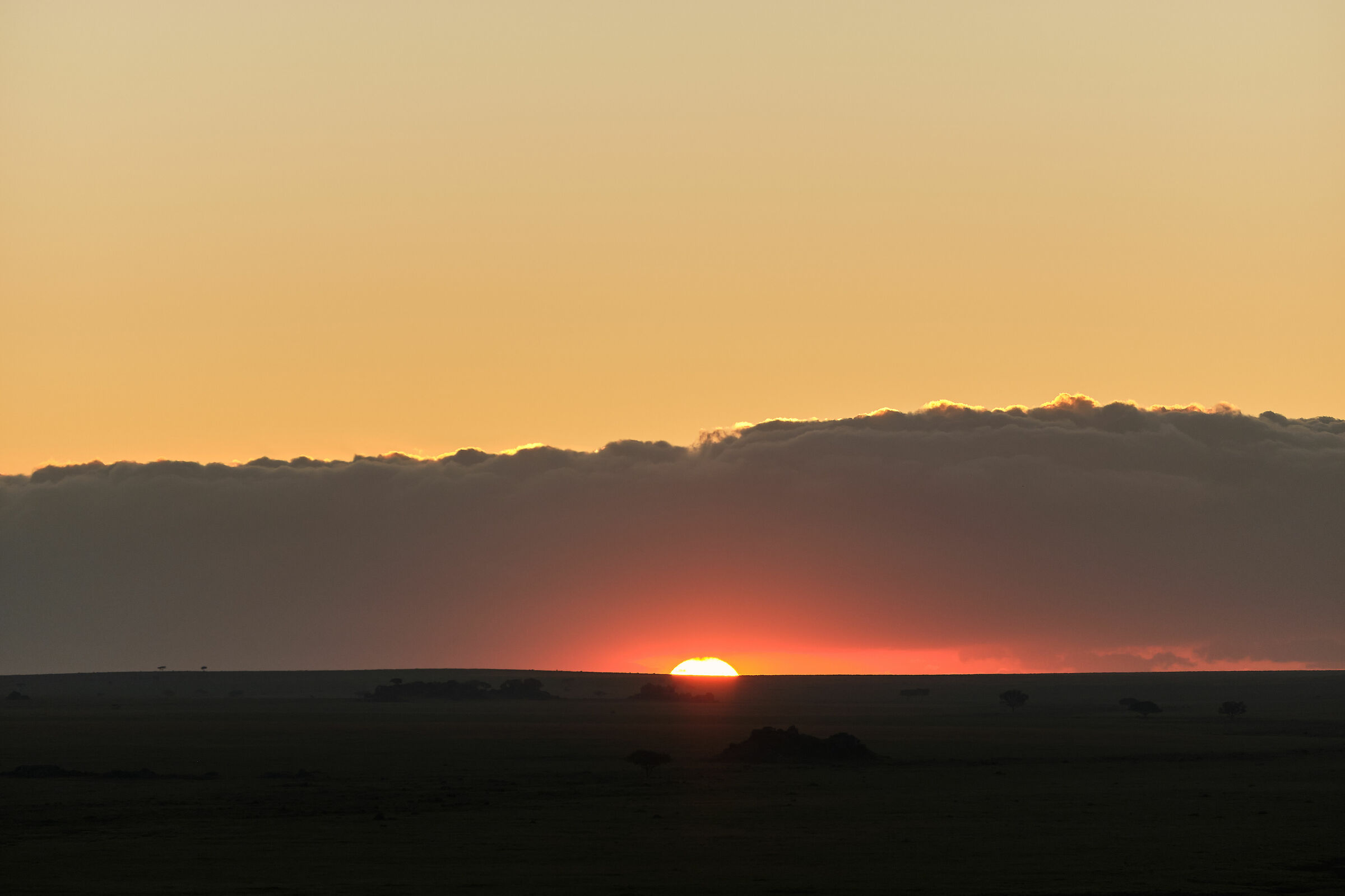 Alba in volo sulla savana