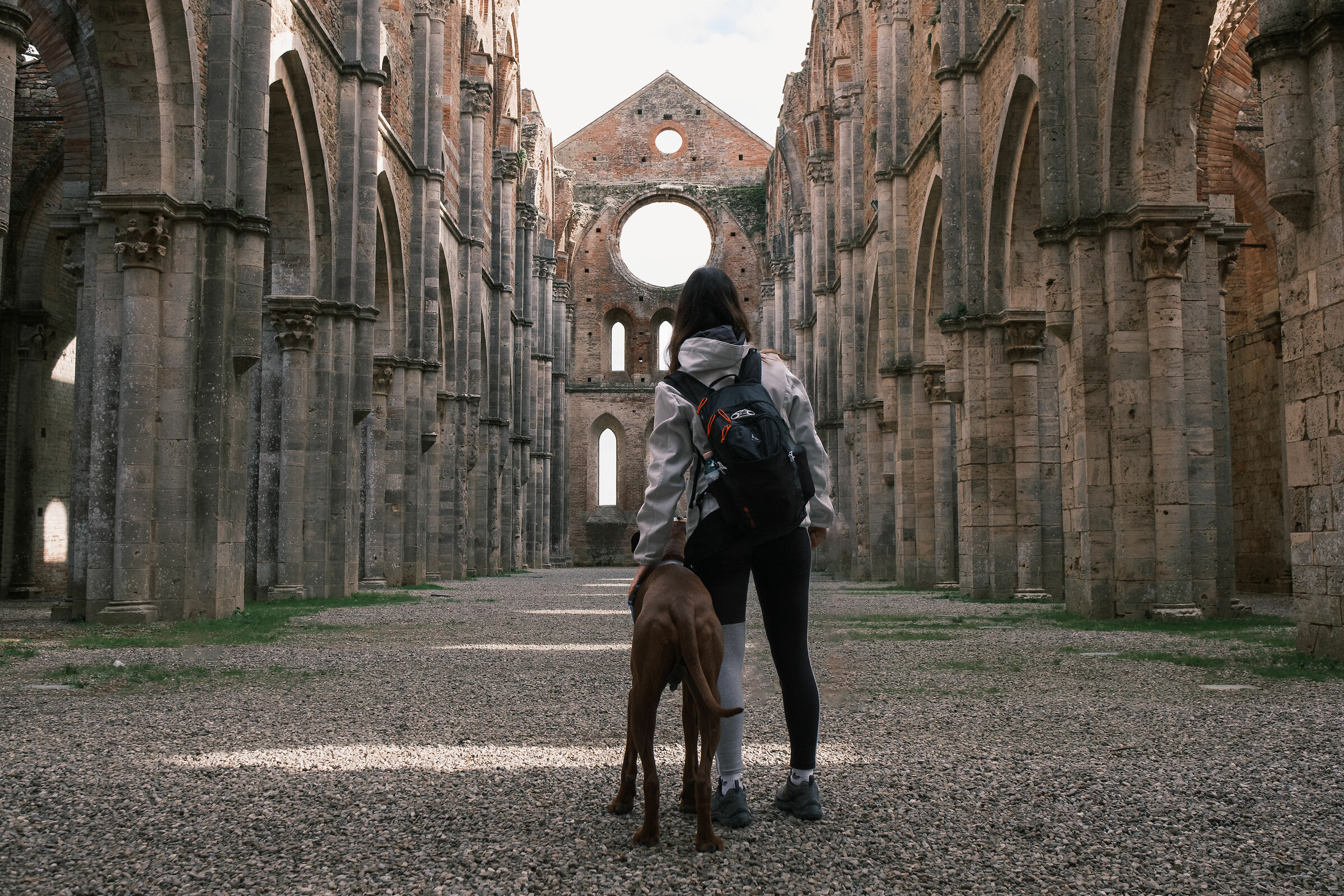 Looking the same way