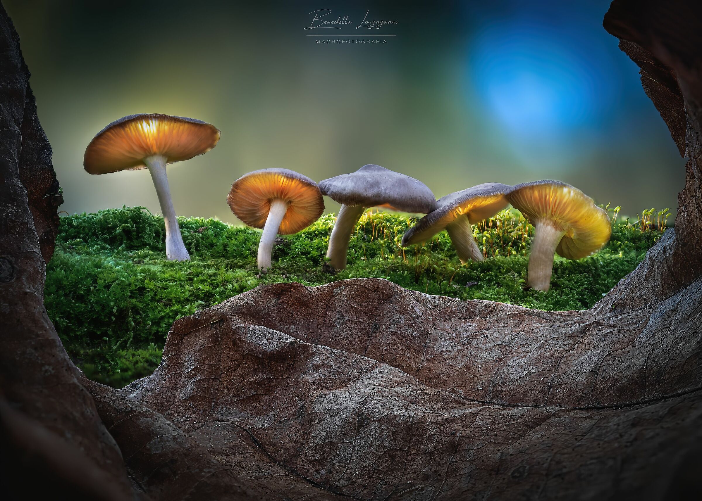 Nel silenzio della notte