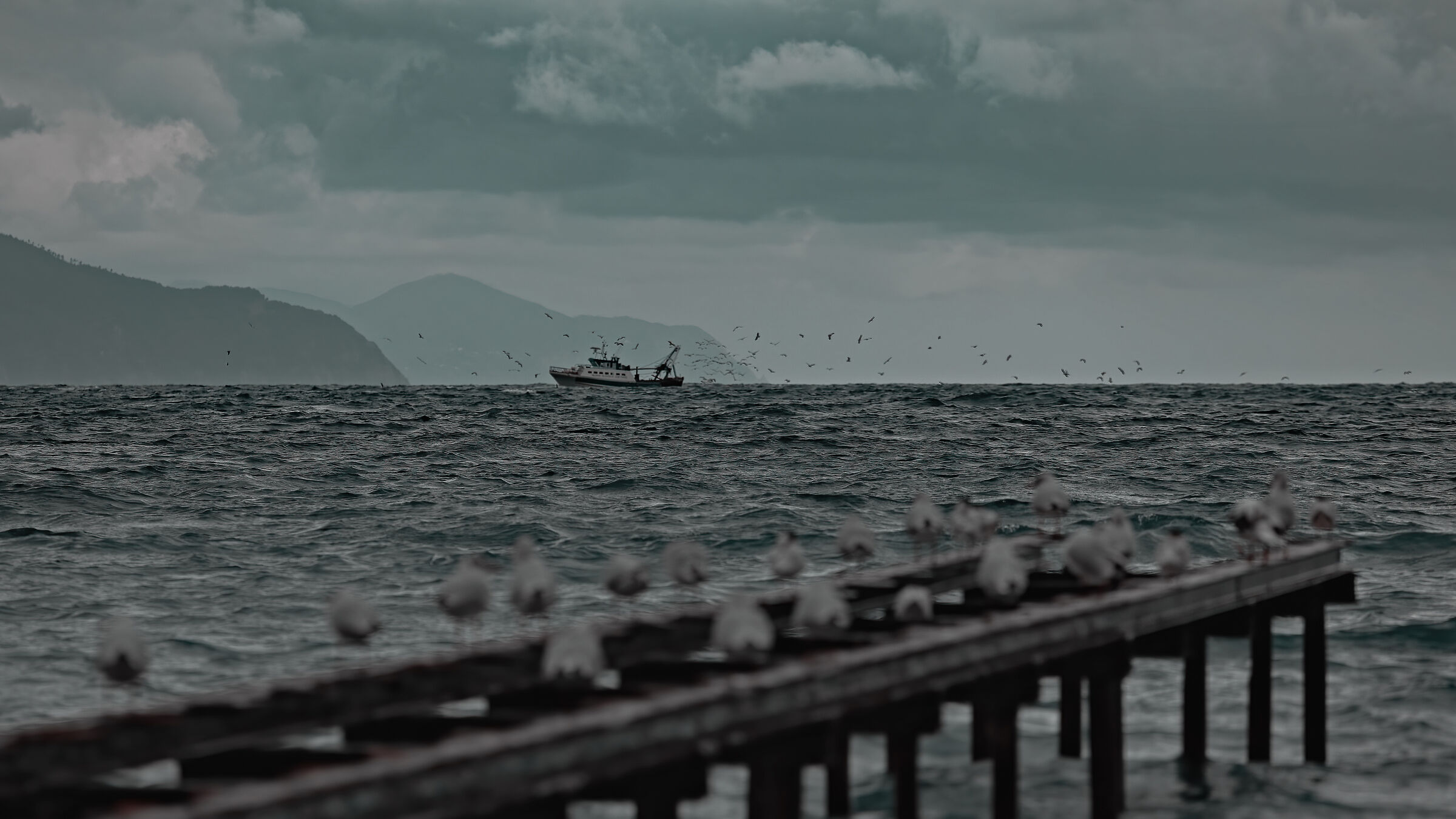 Chi dorme non piglia pesci