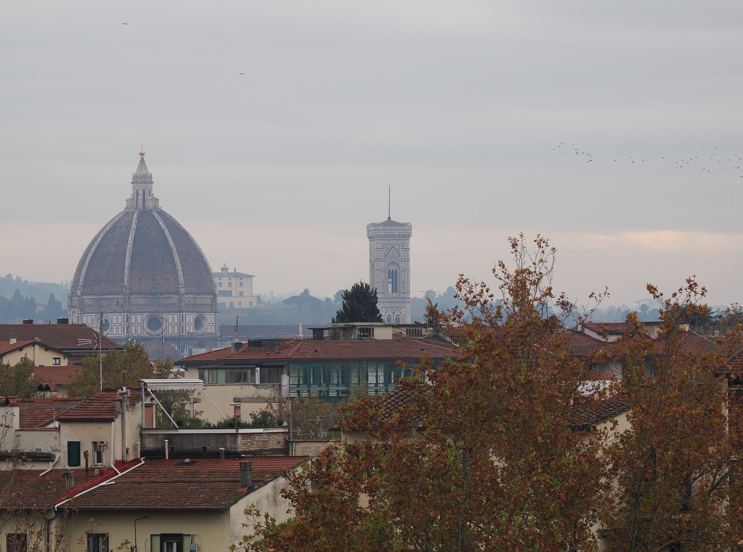 duomo e battistero dalla collina degli orti del parnaso