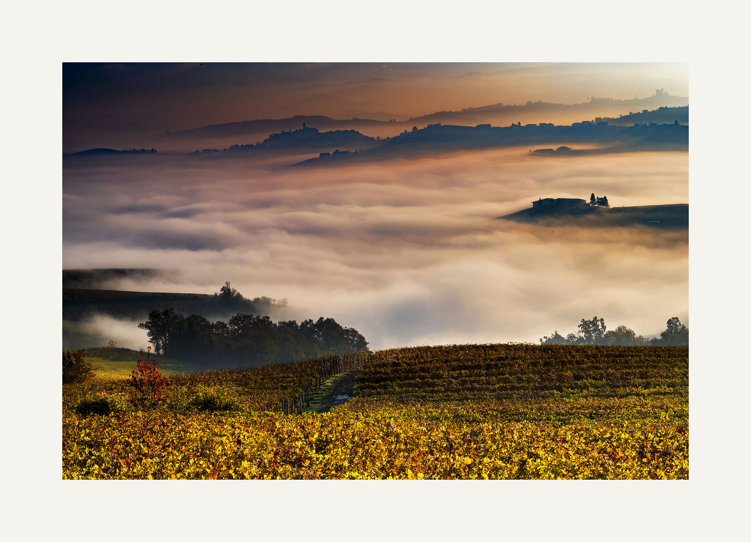 Le langhe