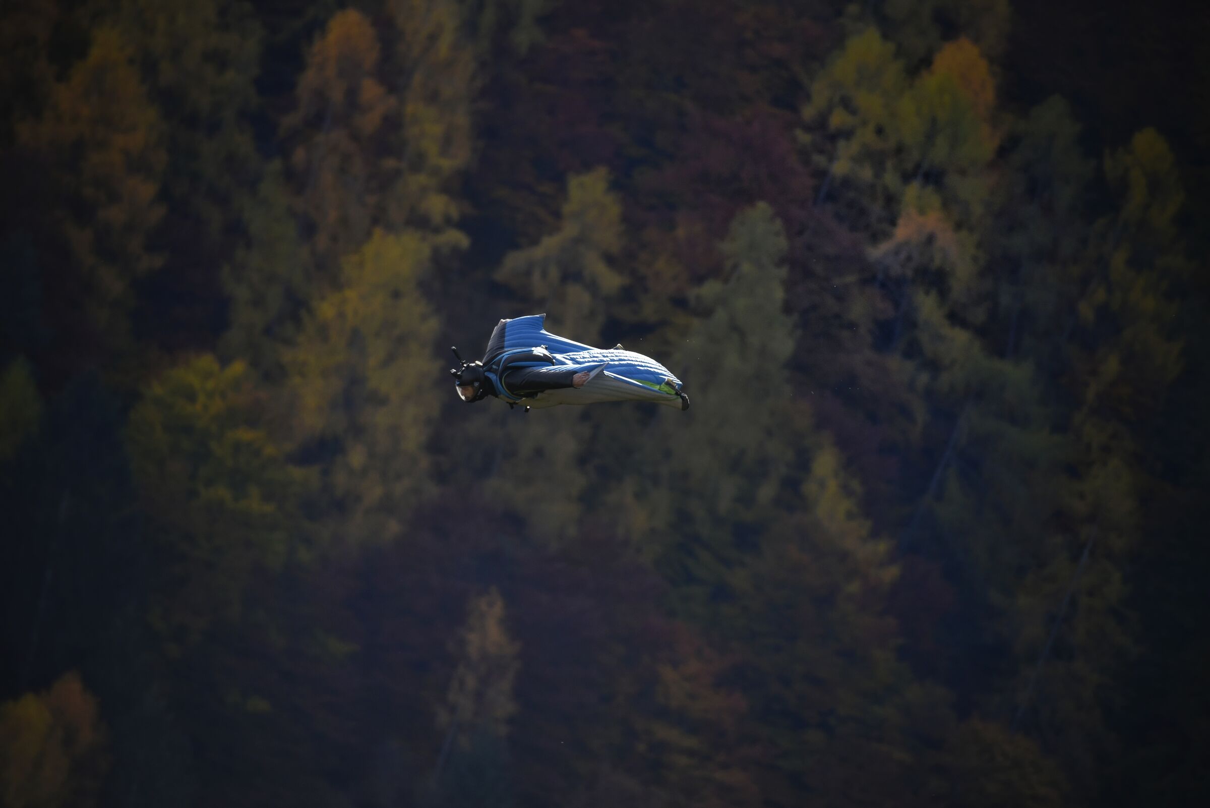 Volo libero