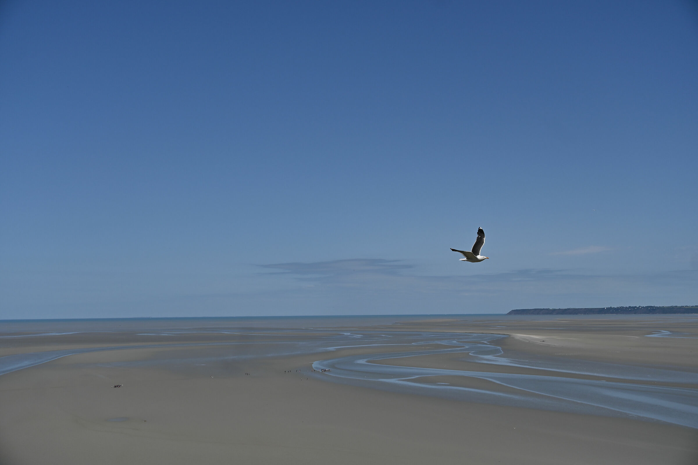 Le Mont-Saint-Michel - 3