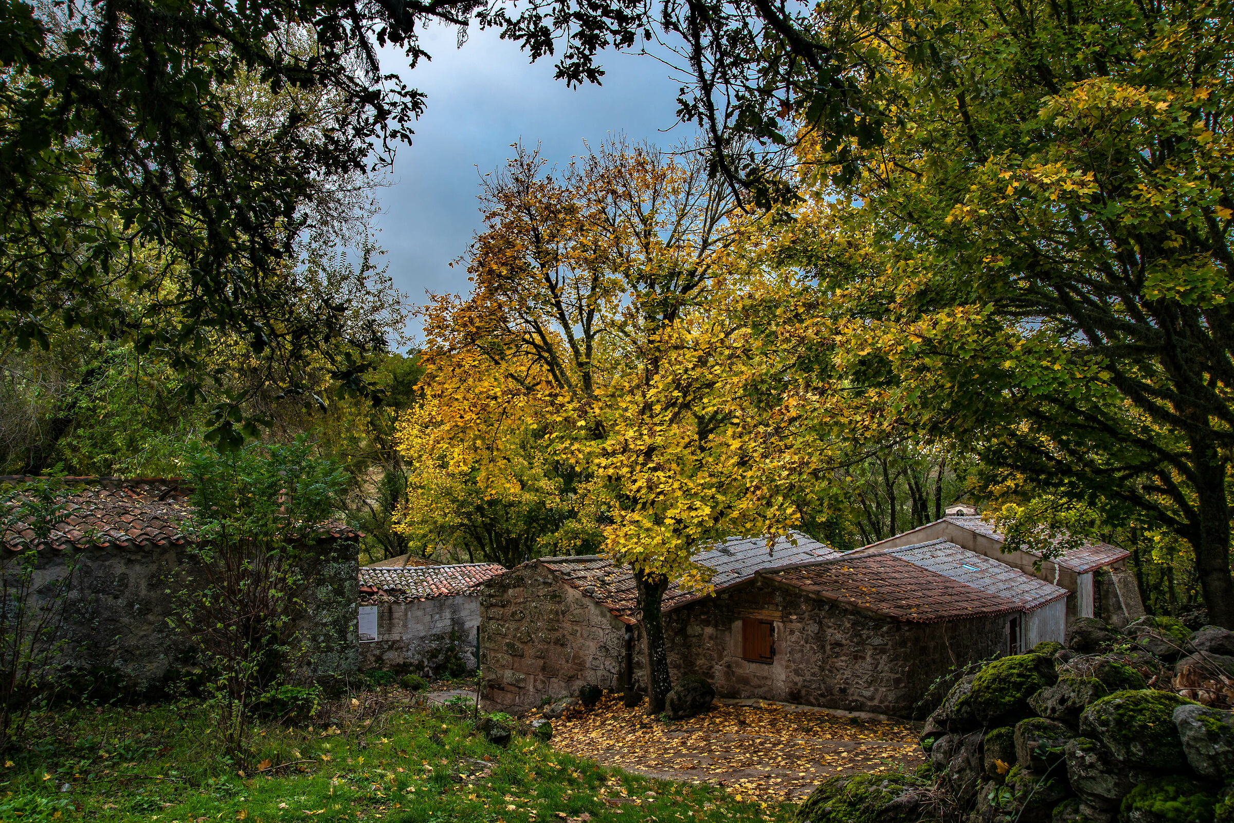 i colori dell'autunno