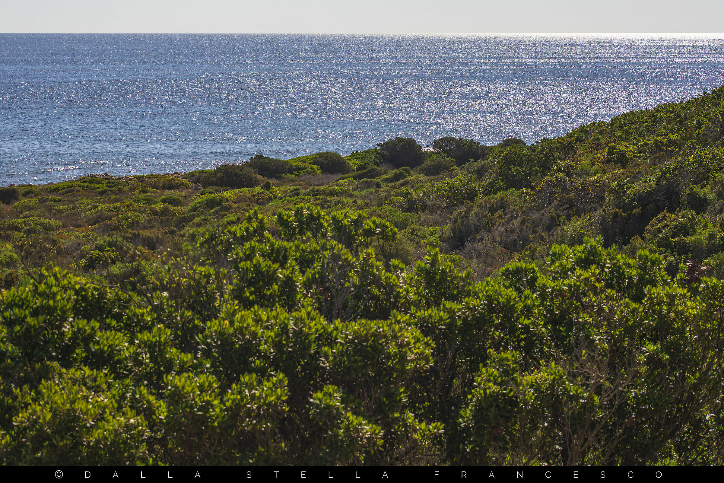 Al di là della vegetazione... Il mare