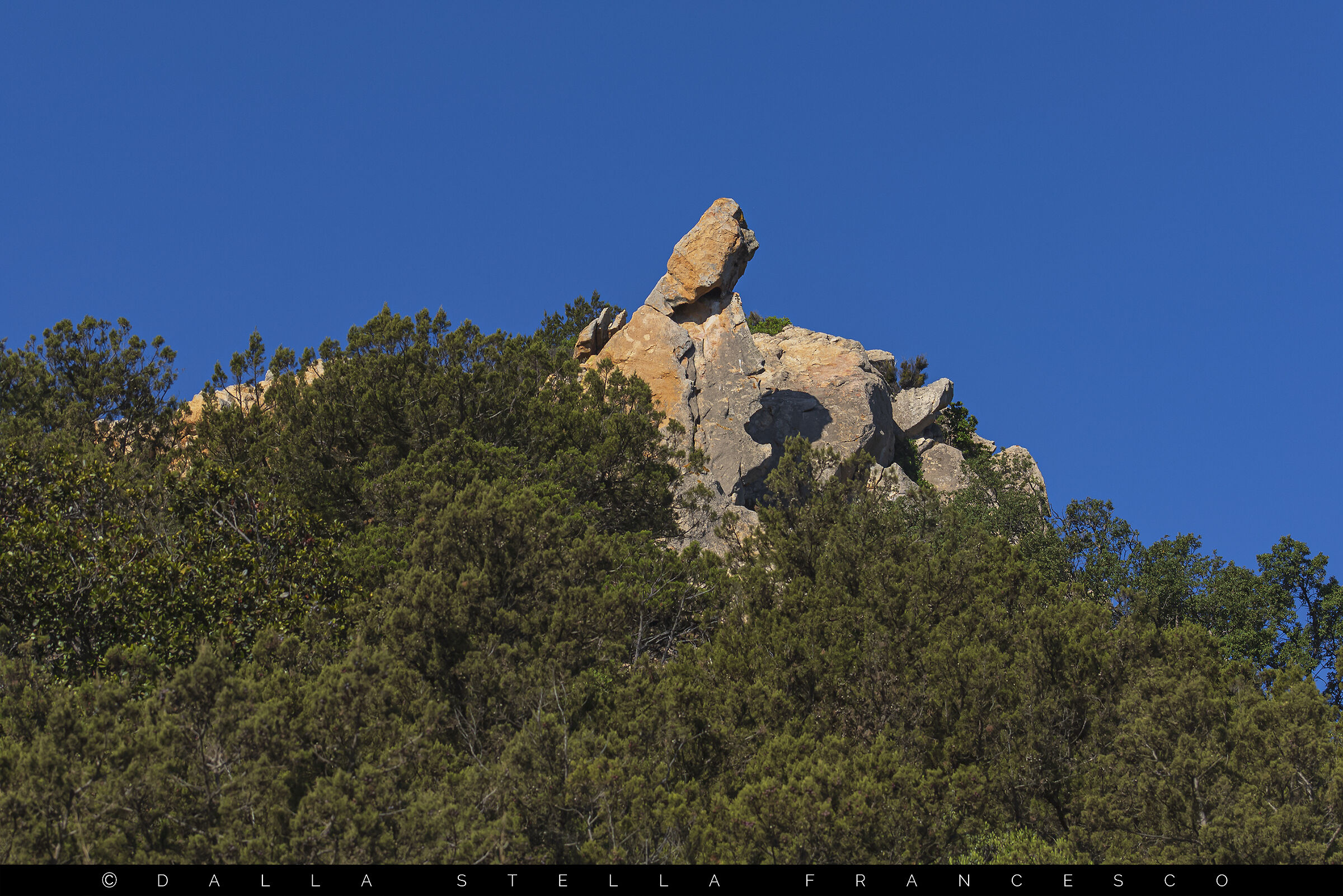 L'essenza del paesaggio sardo escluso il mare