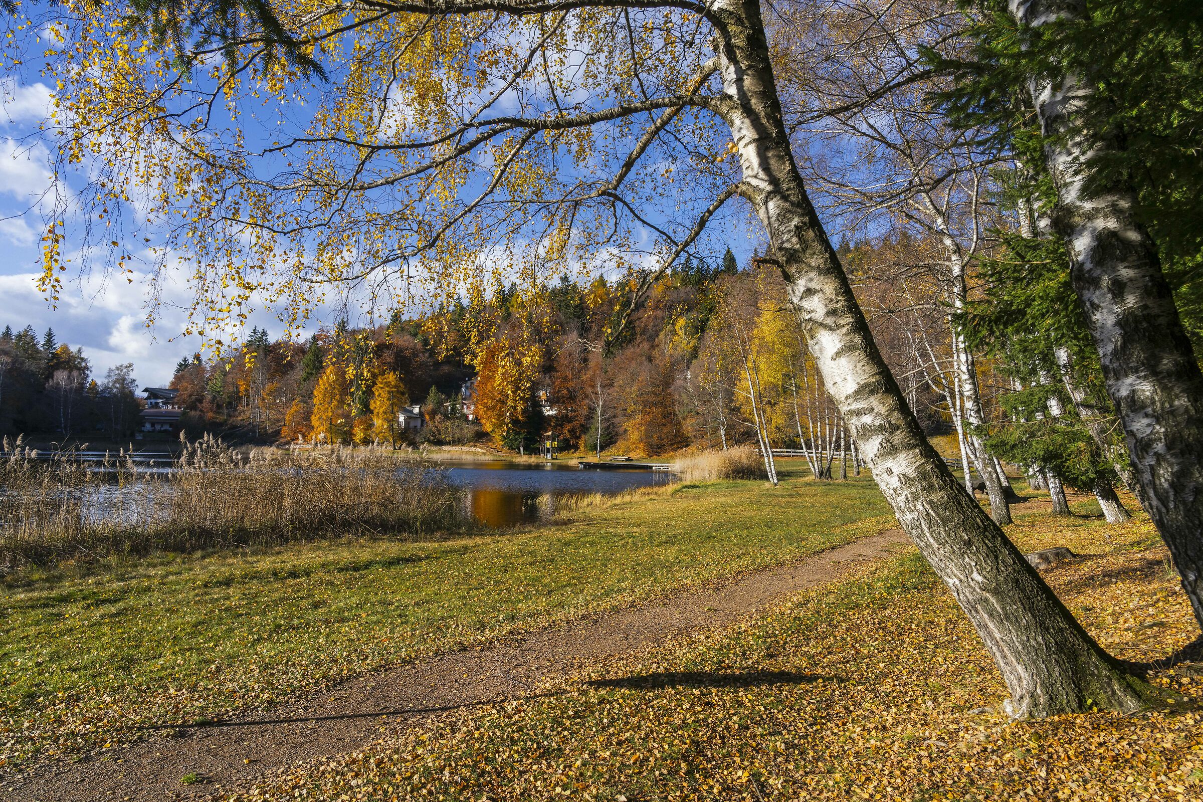 Autunno al Lago Santo (Val di Cembra - Trentino)