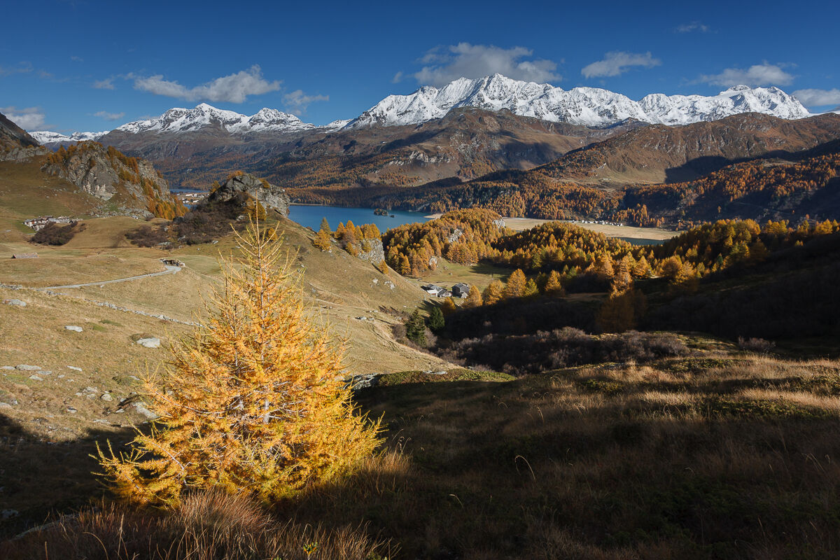 Autunno in Engadina ...