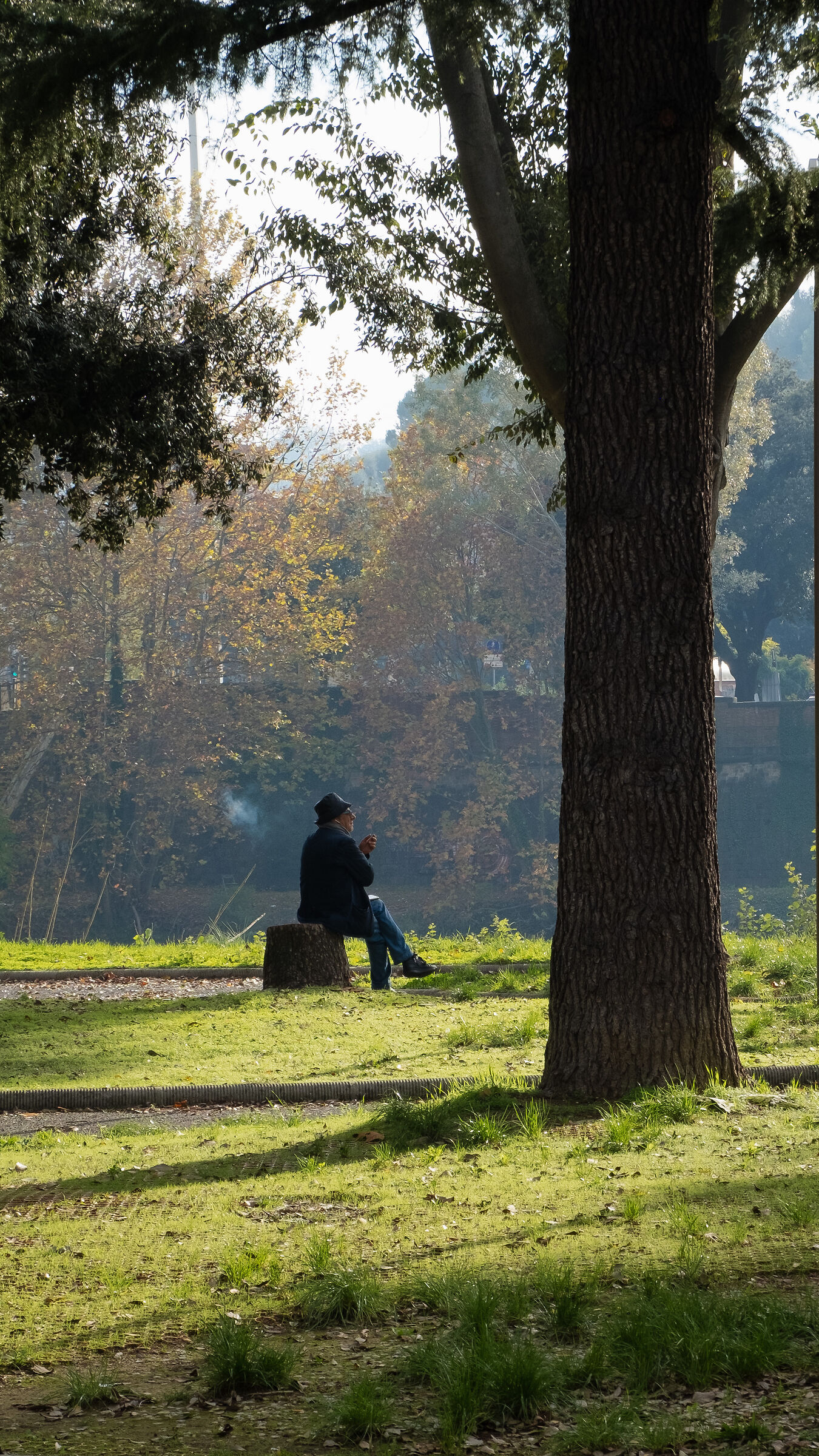 Ultimo sole della settimana