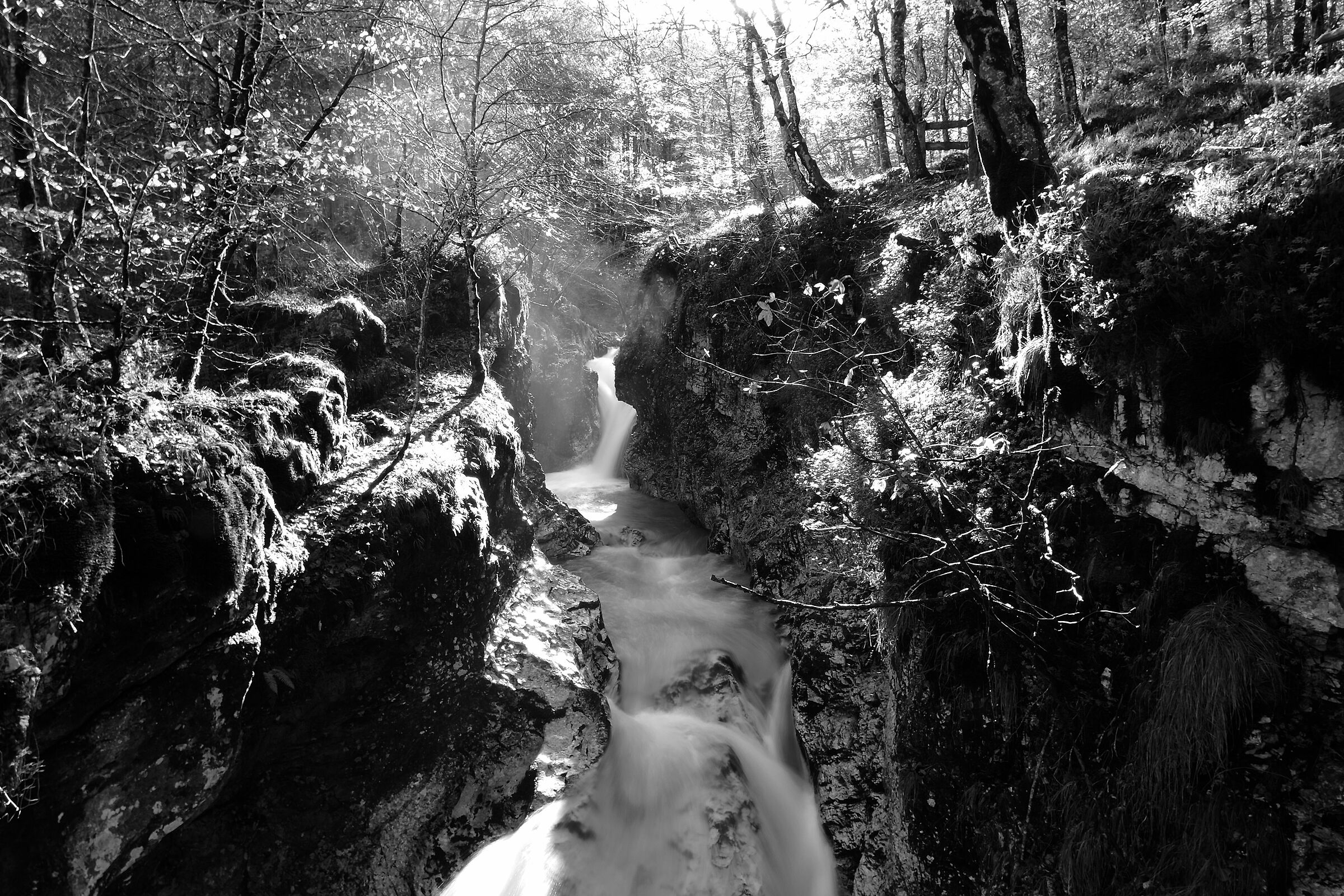 Vapori in bianconero