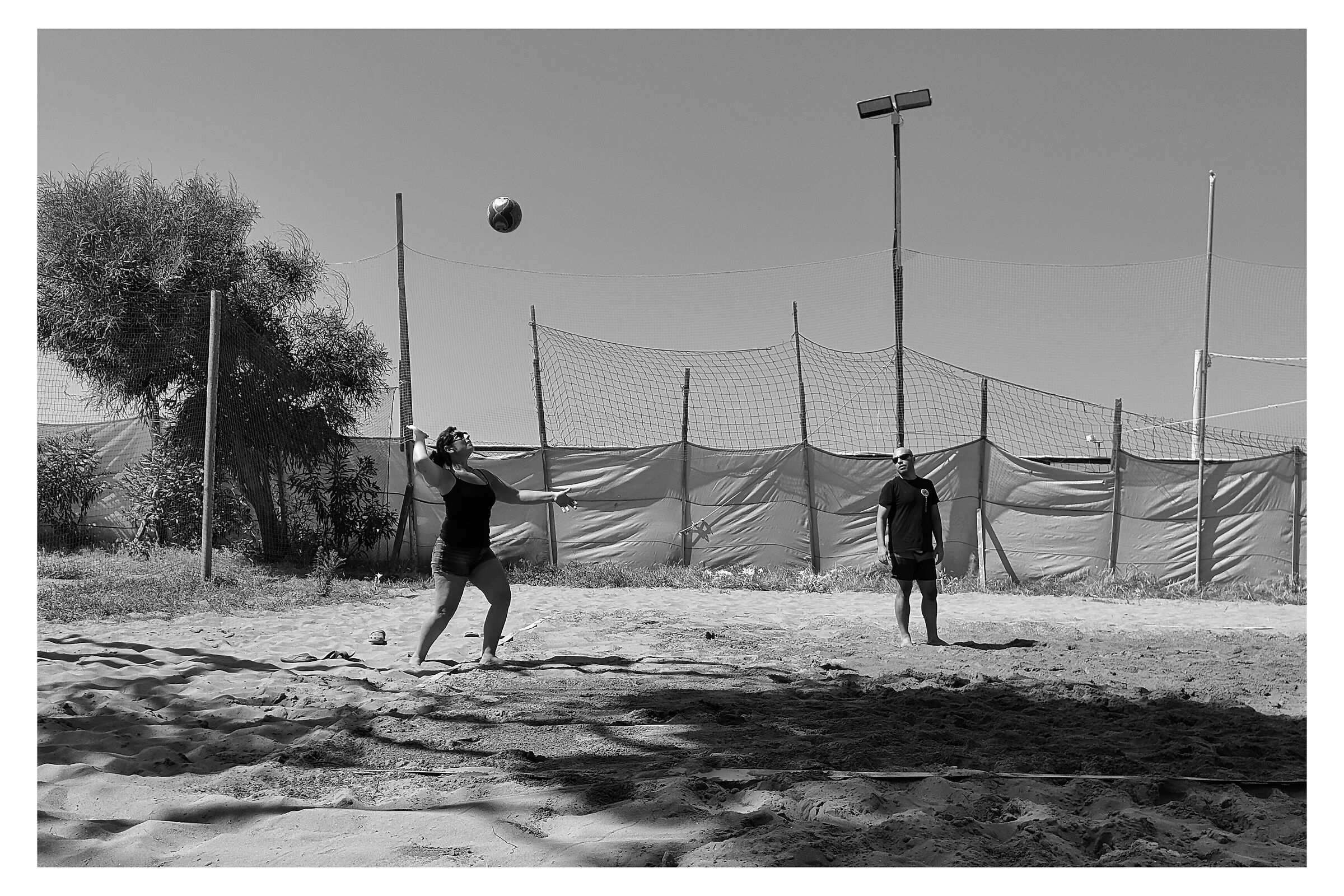 The Volleyball