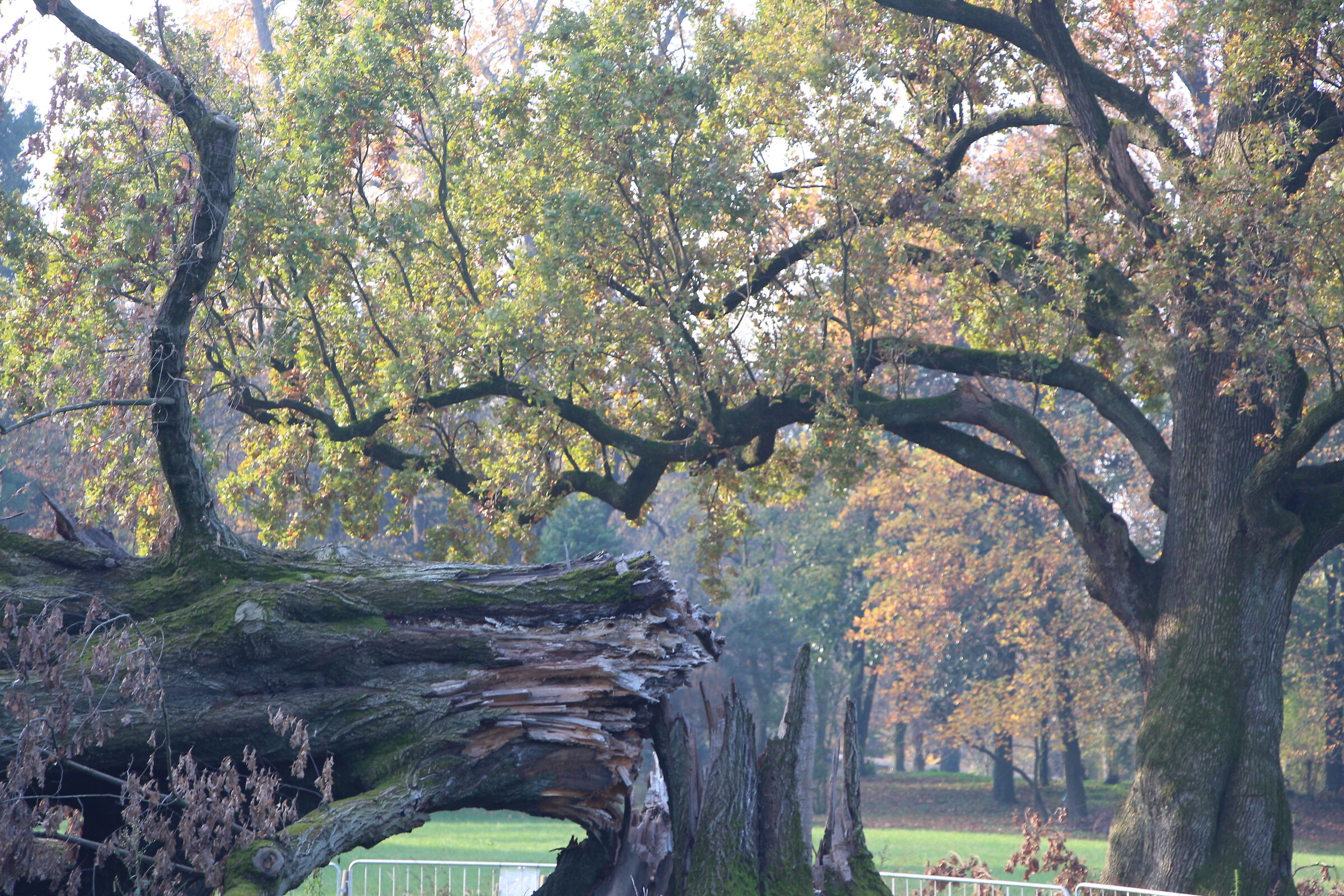 è bastato un temporale...