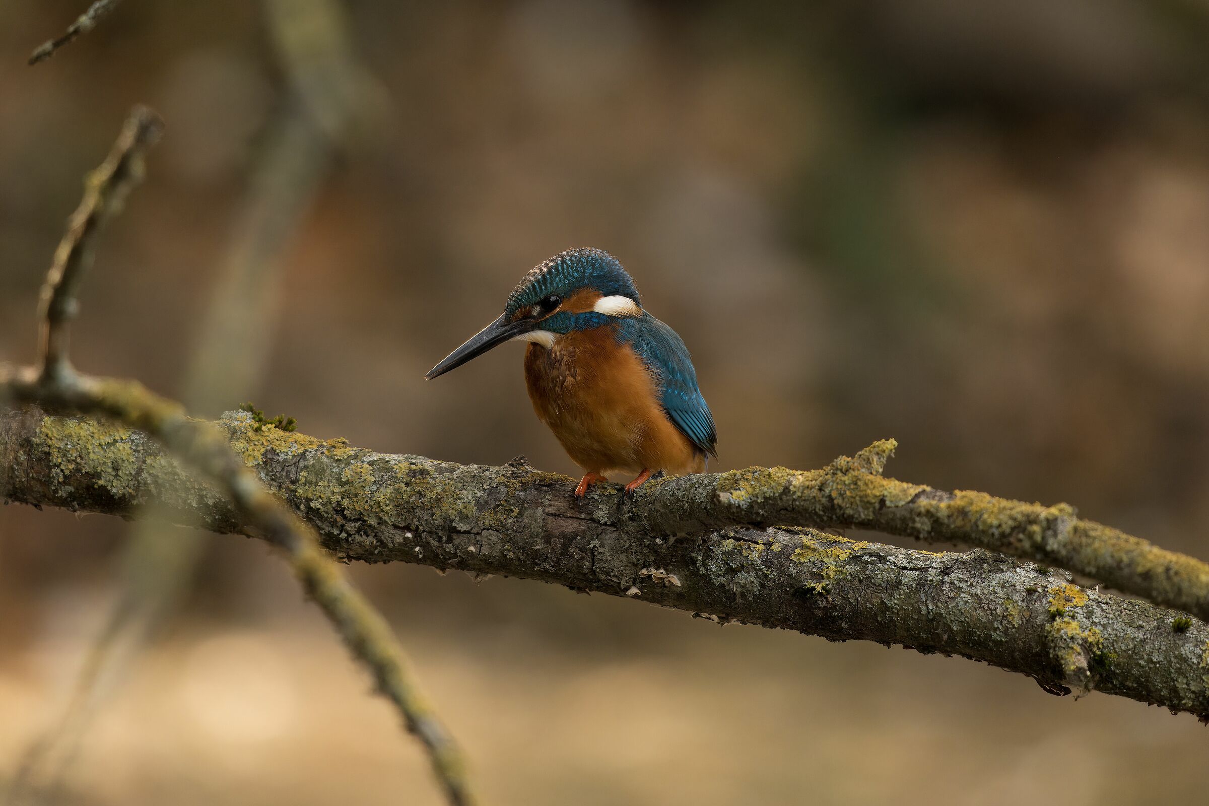 First experiments with the Panasonic S1