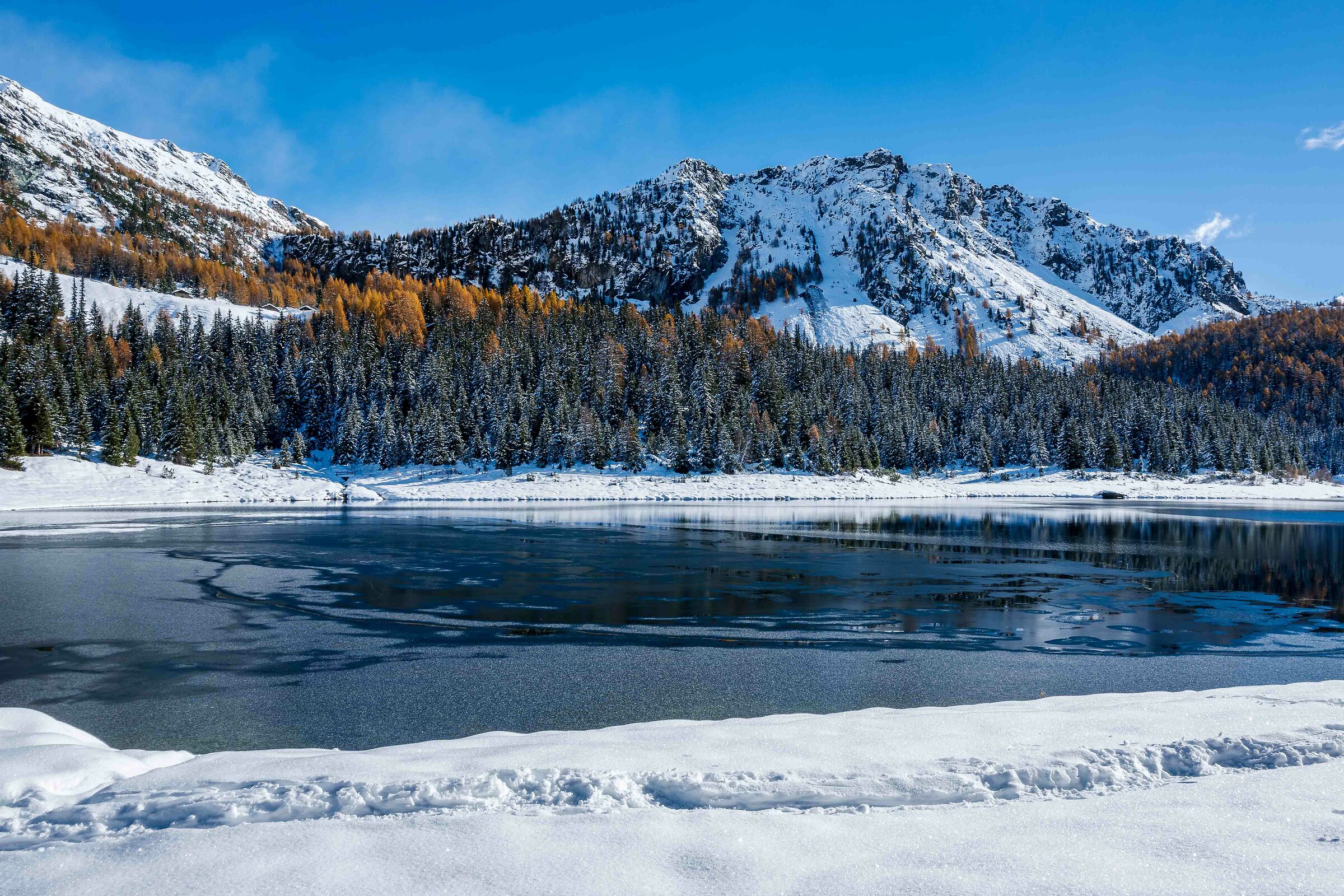 Autunno innevato al lago Palù