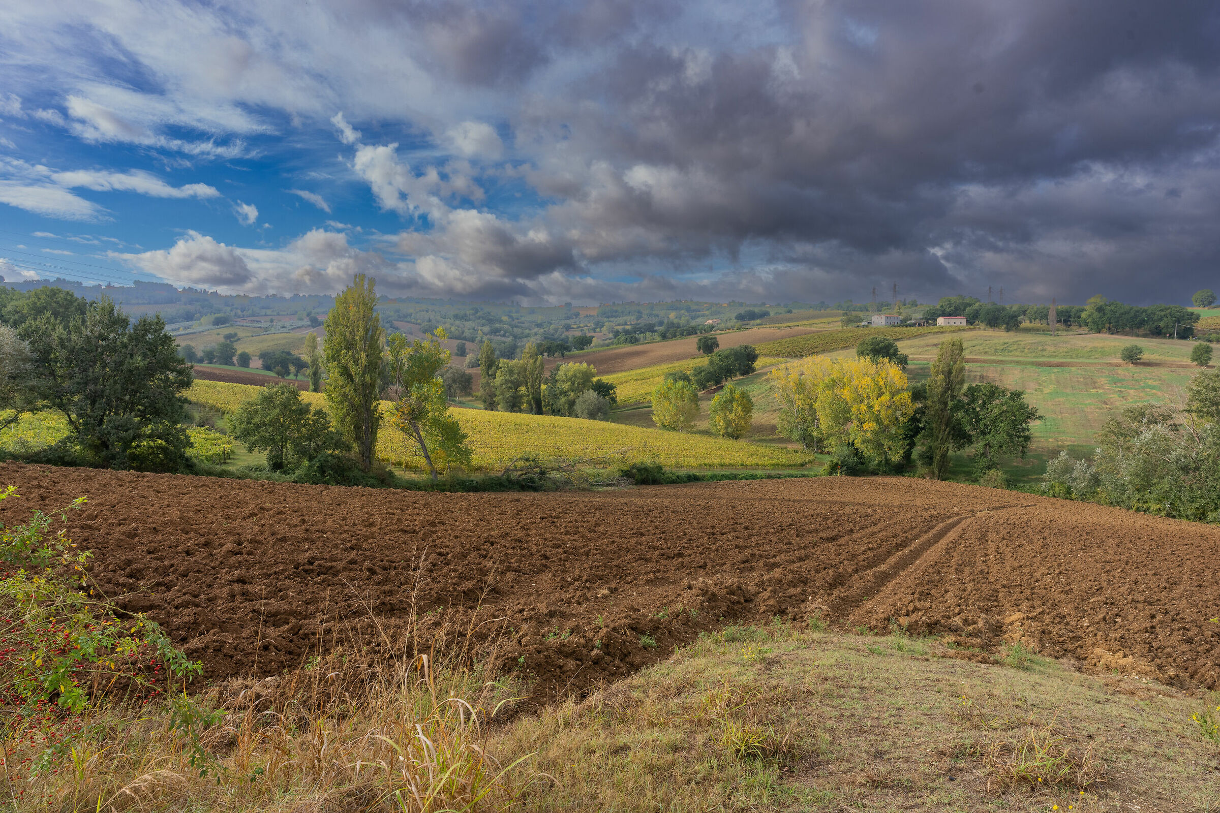 Arriva il temporale !