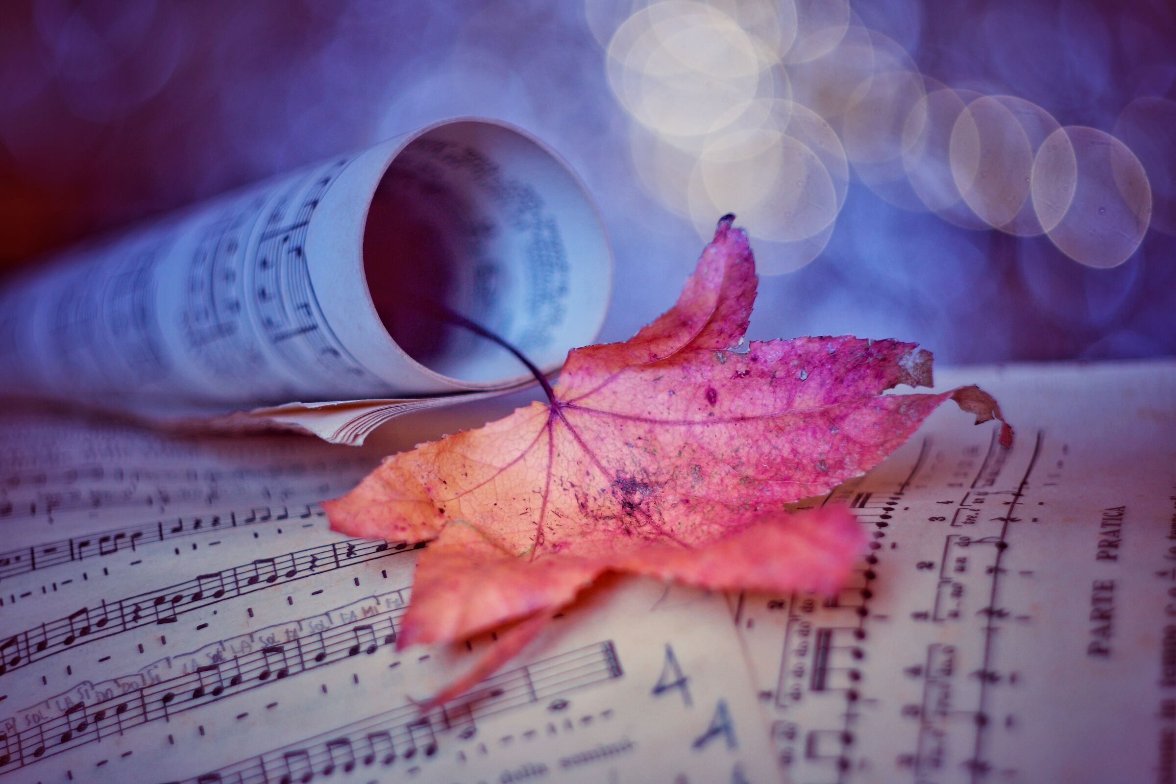 Musica d'autunno