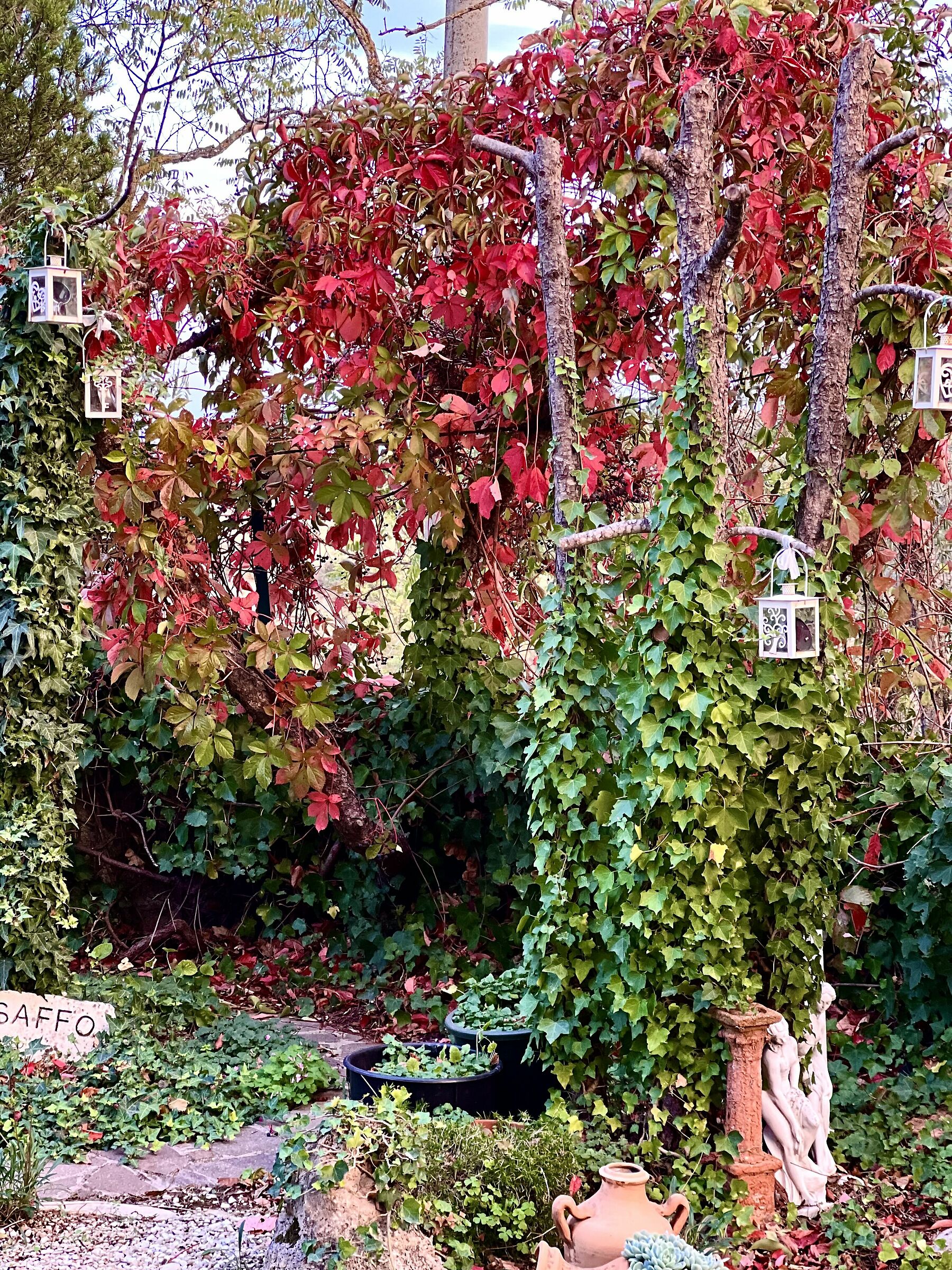 Autunno con poco foliage!