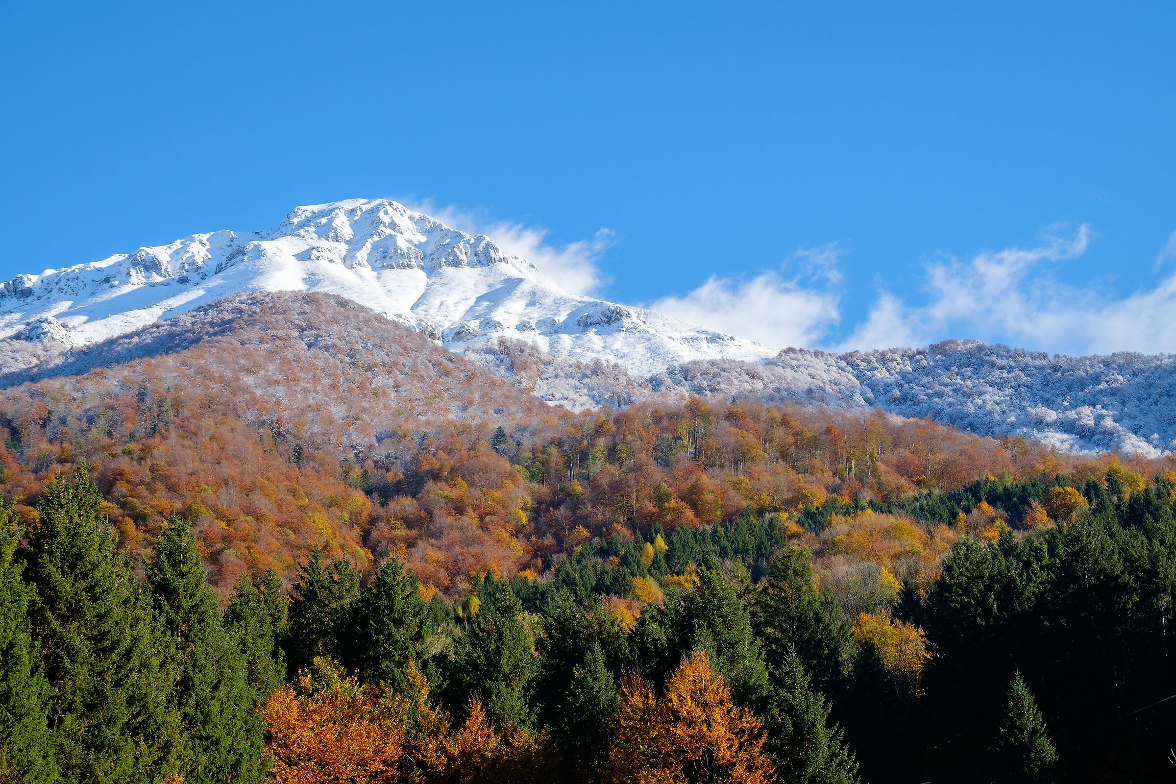 I prodromi dell'inverno