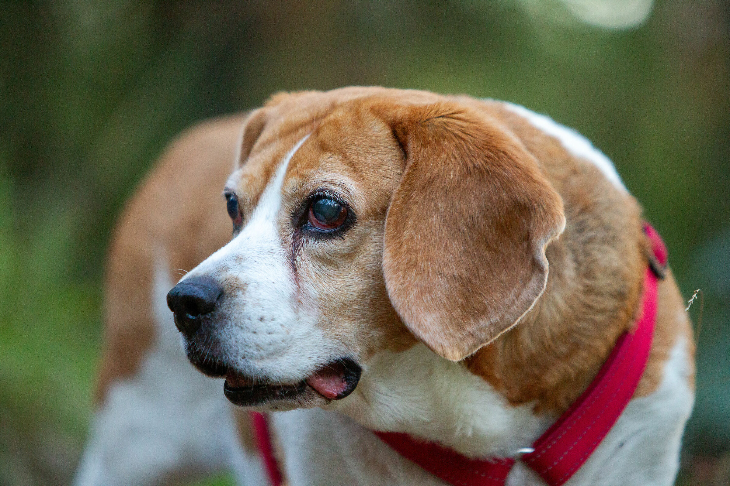 Vicky, con un anno in più sulle spalle!