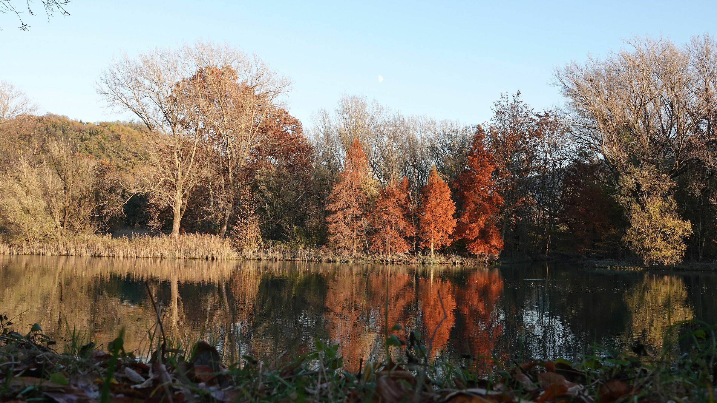 Adda, caldi colori autunnali